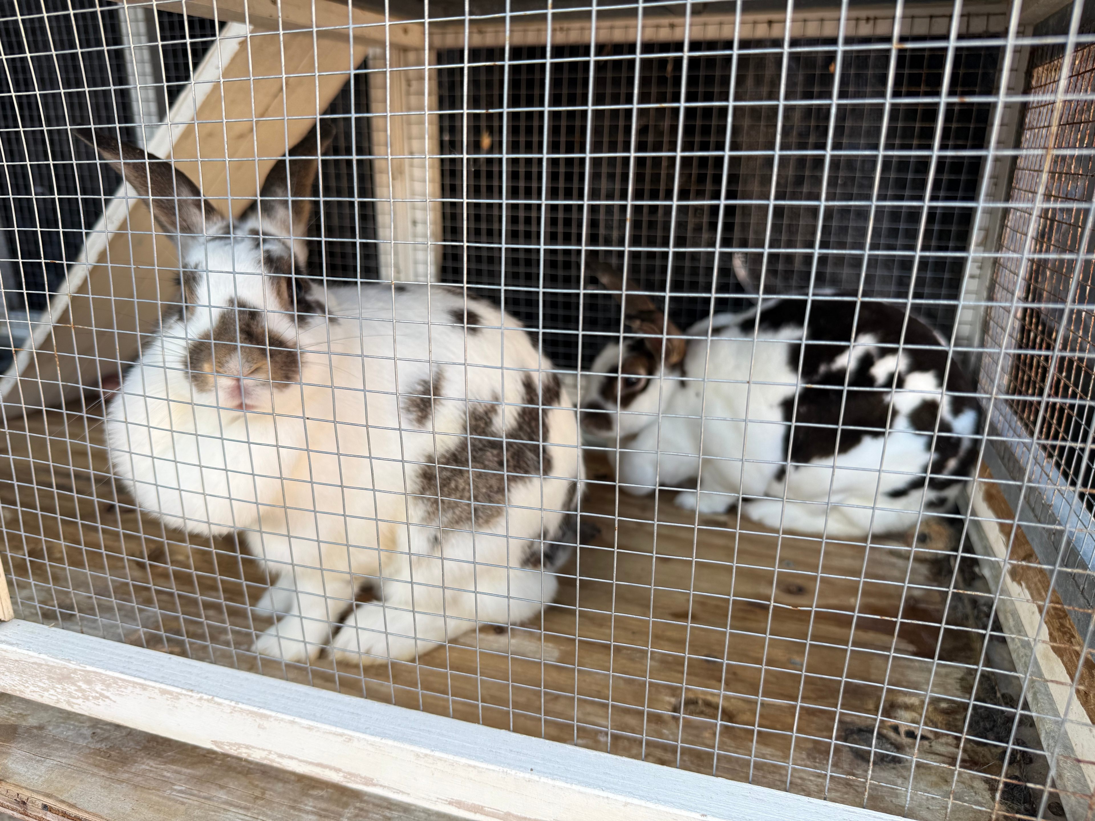 Greenacres Urban Basecamp