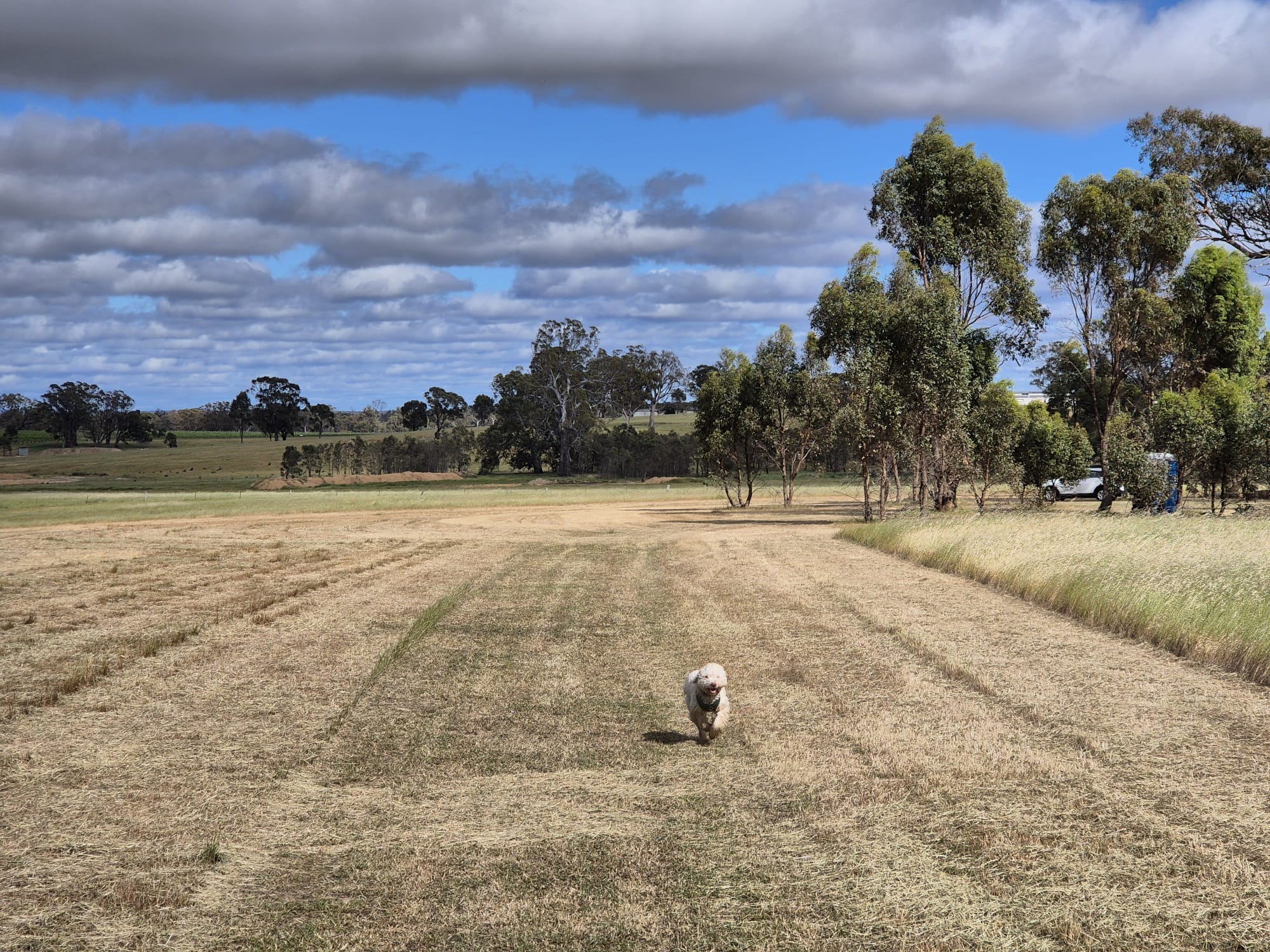 Sunset Stargazing Private Camp