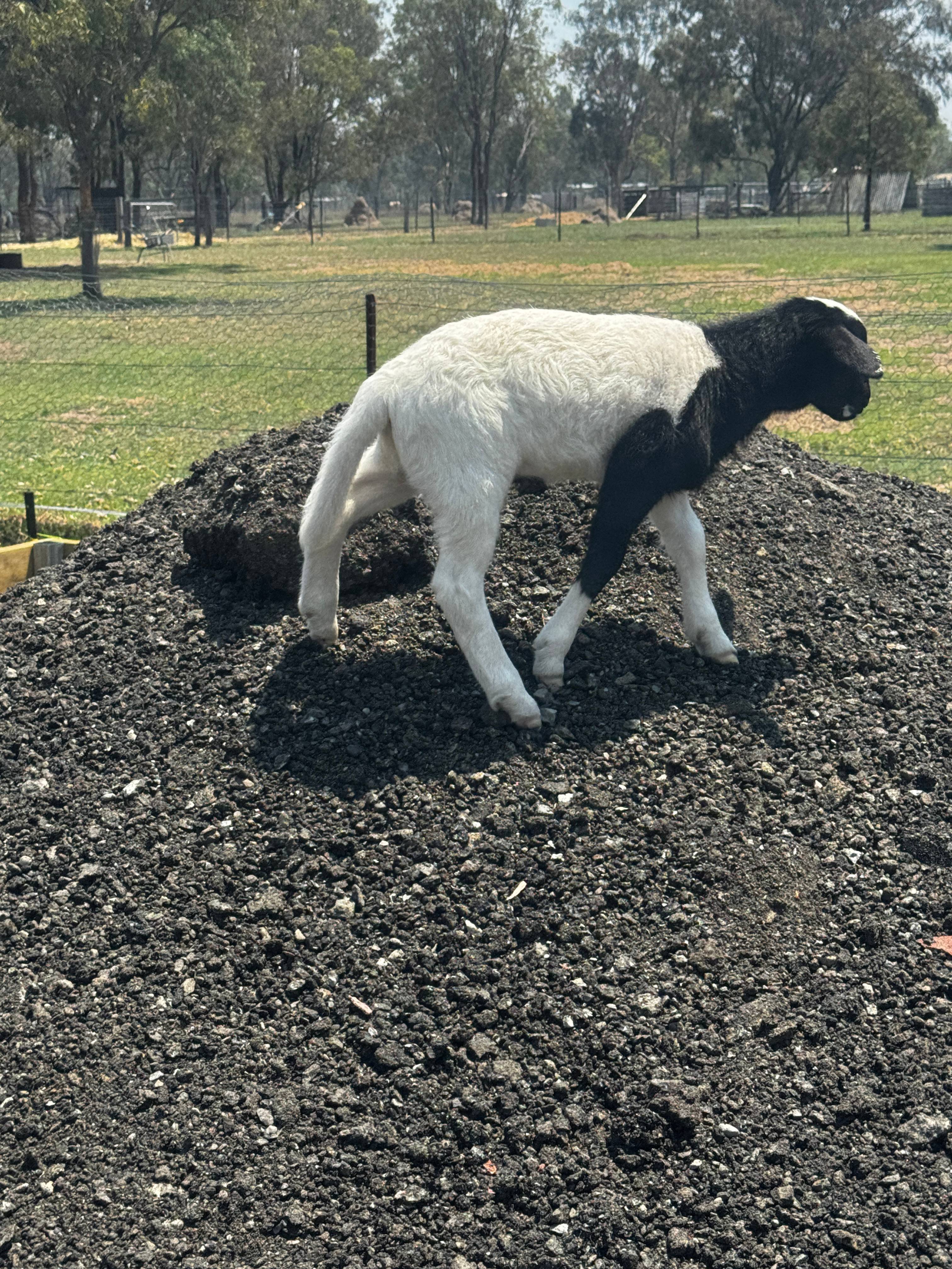The Corner Patch -Farmstay Glamping