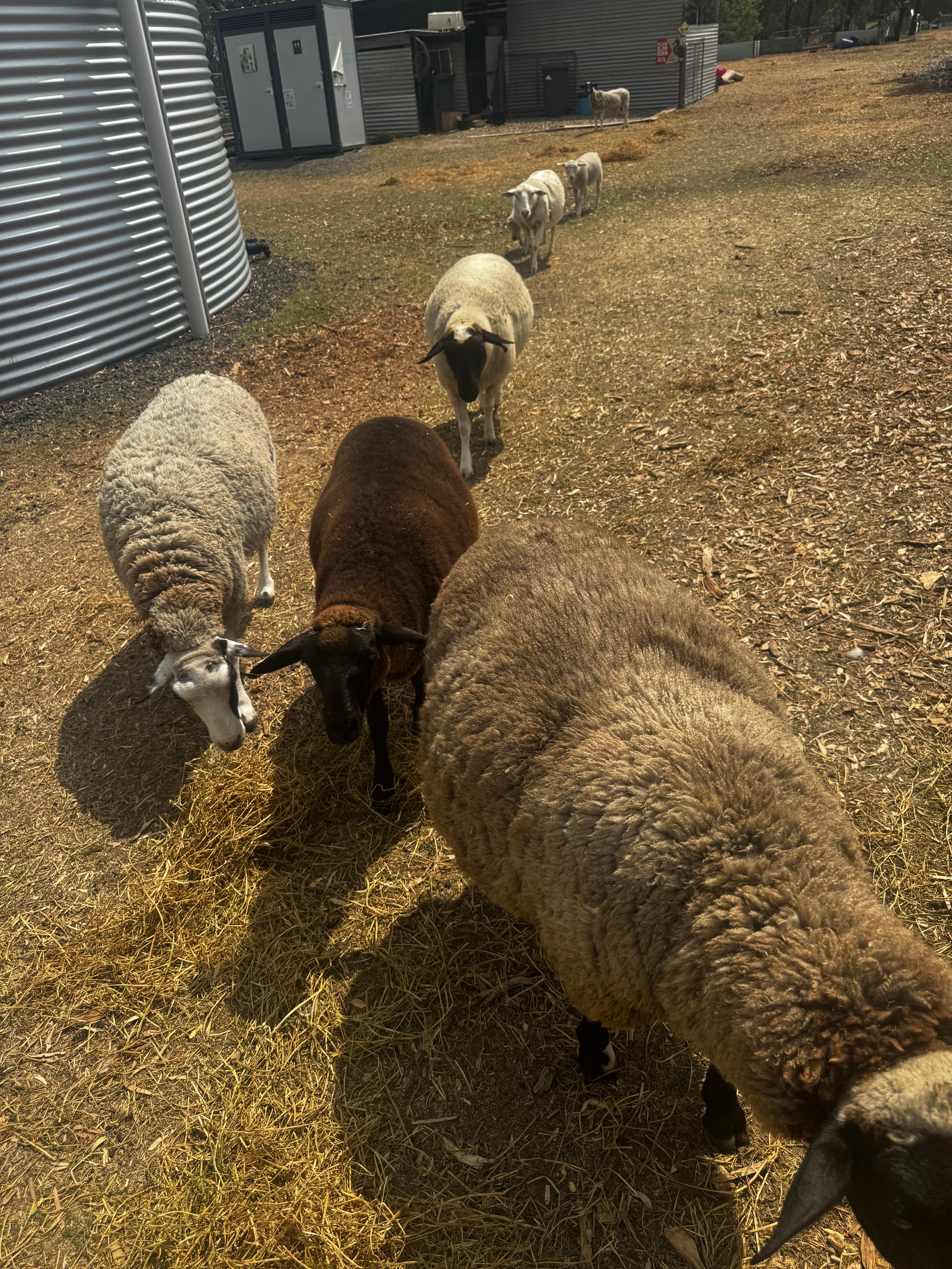 The Corner Patch -Farmstay Glamping