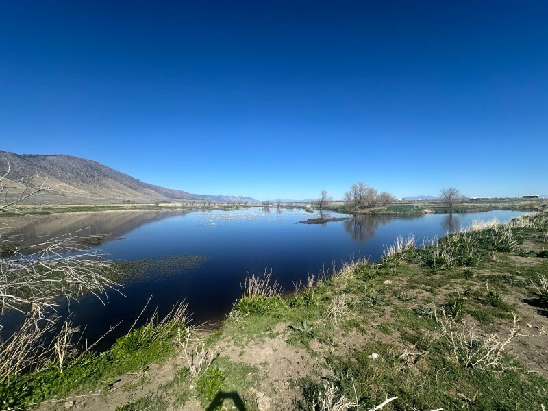 Missy’s Mountain Meadows