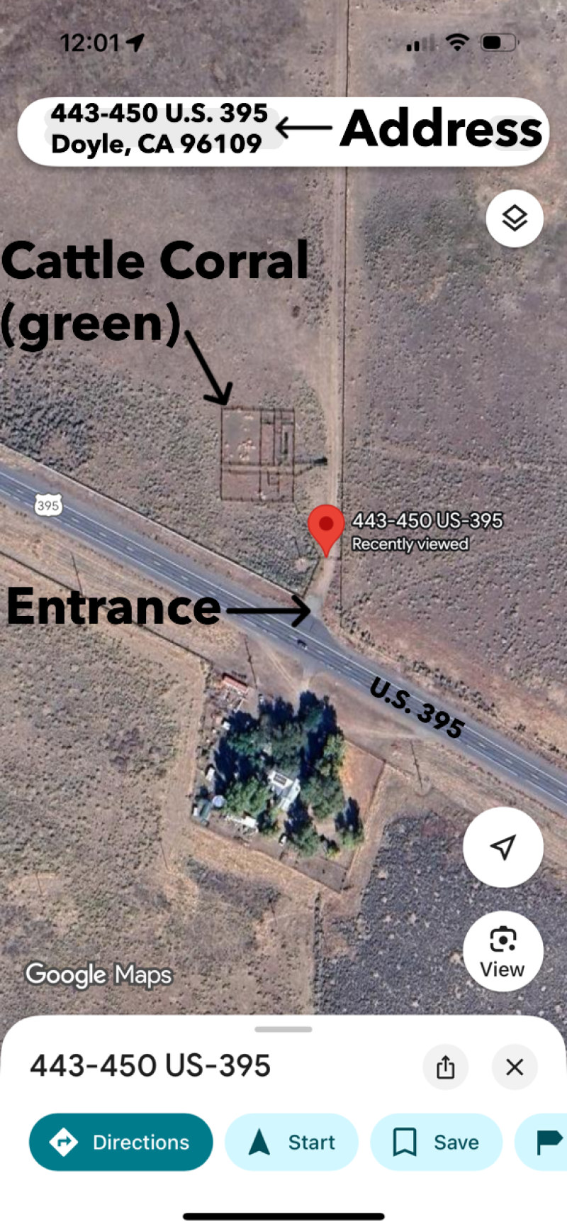 Missy’s Mountain Meadows