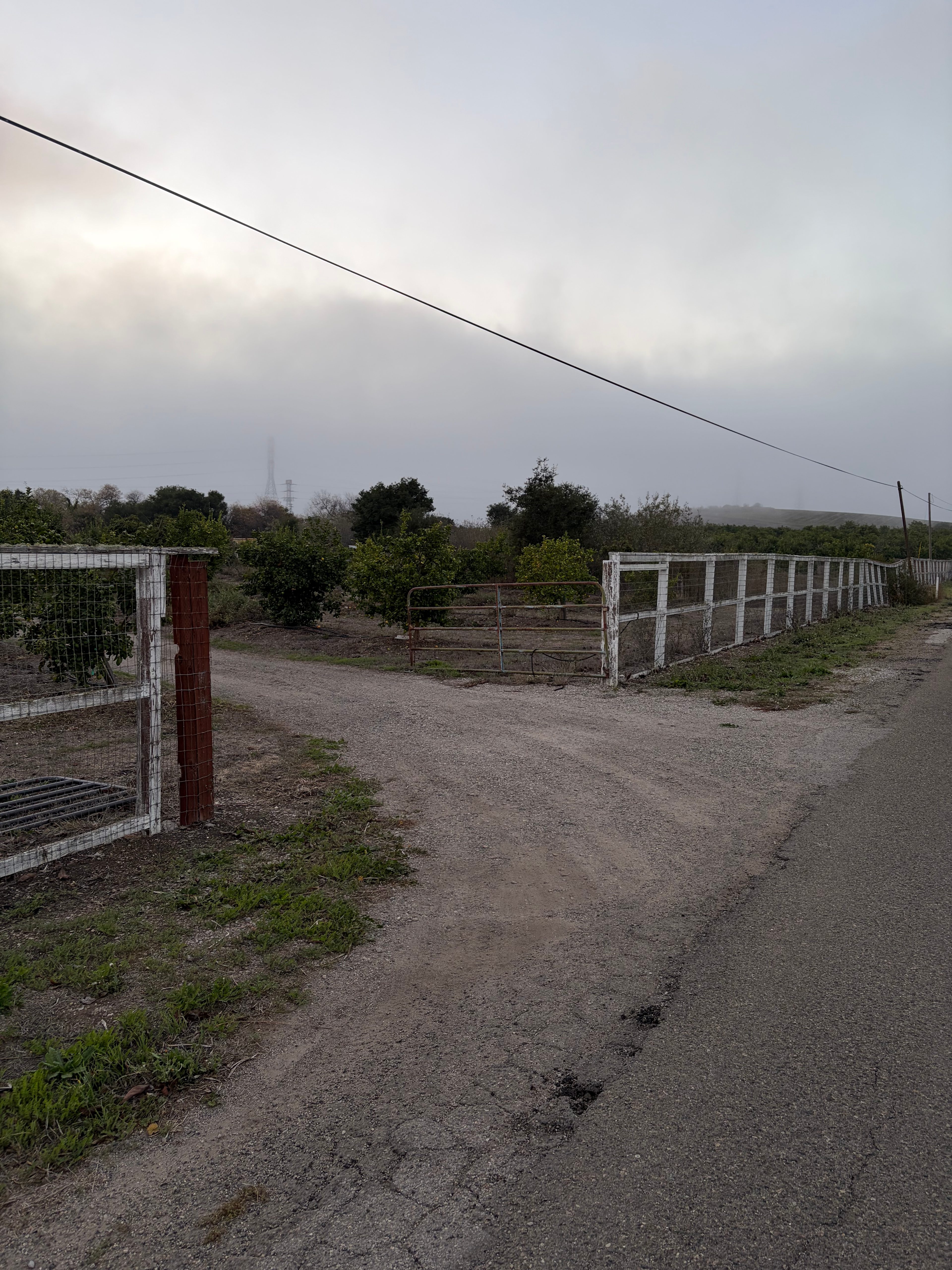 Welcome to Central Coast Camp!  CCC is located at the end of Mehlschau rd, and the corner of Dana Foothill rd. Turn left in to the avocado field.