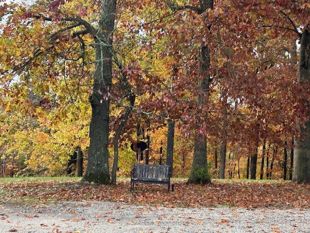 Hideaway On The Hill