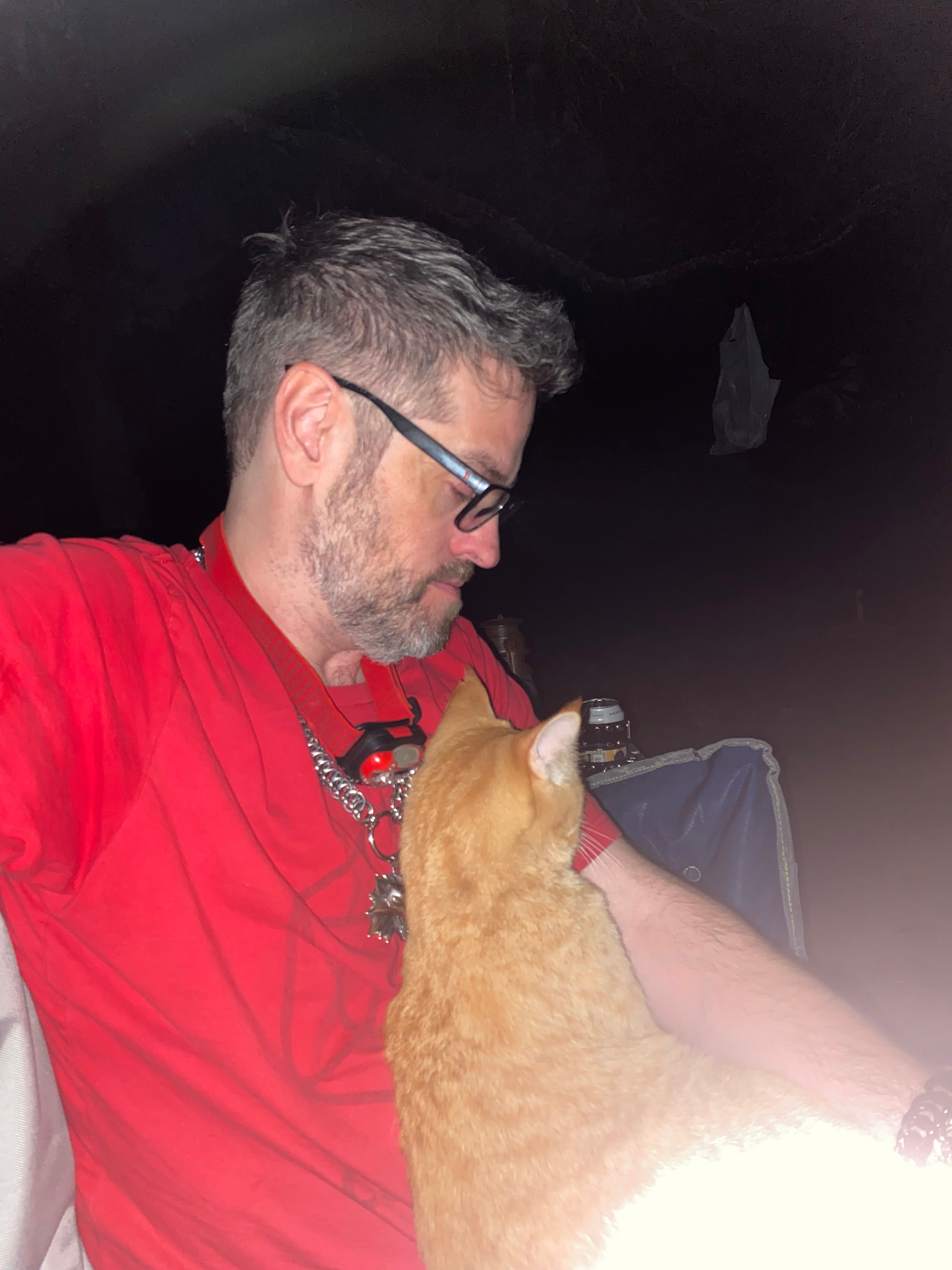 This orange guy is so sweet