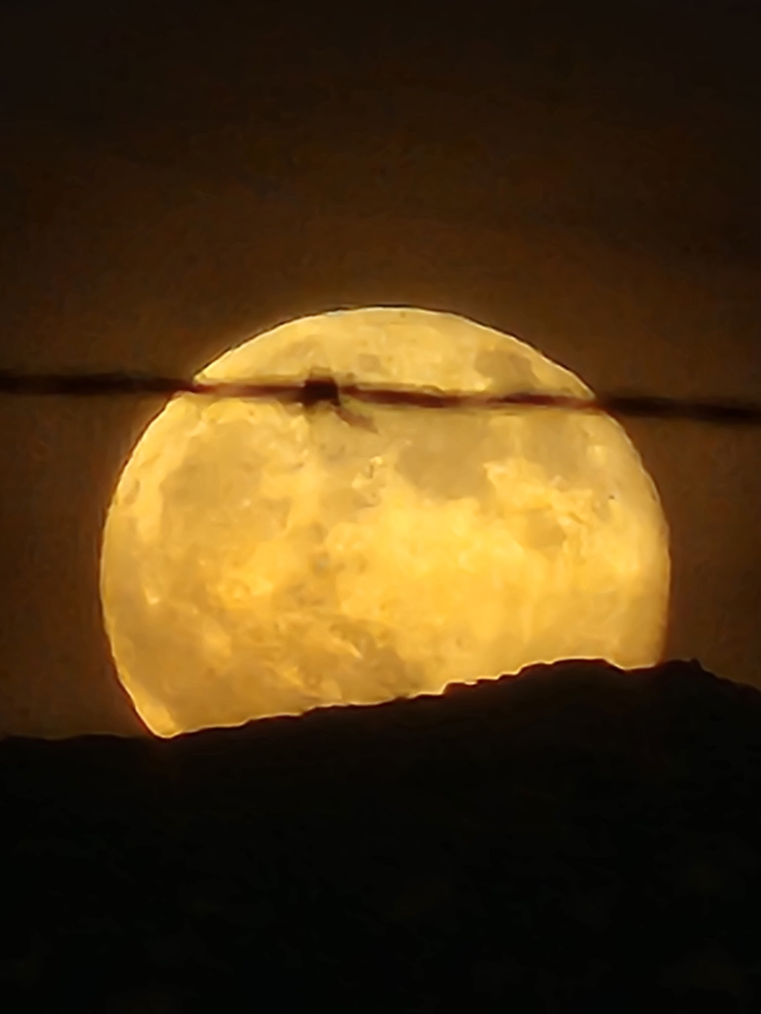 Thompson Palms Campground