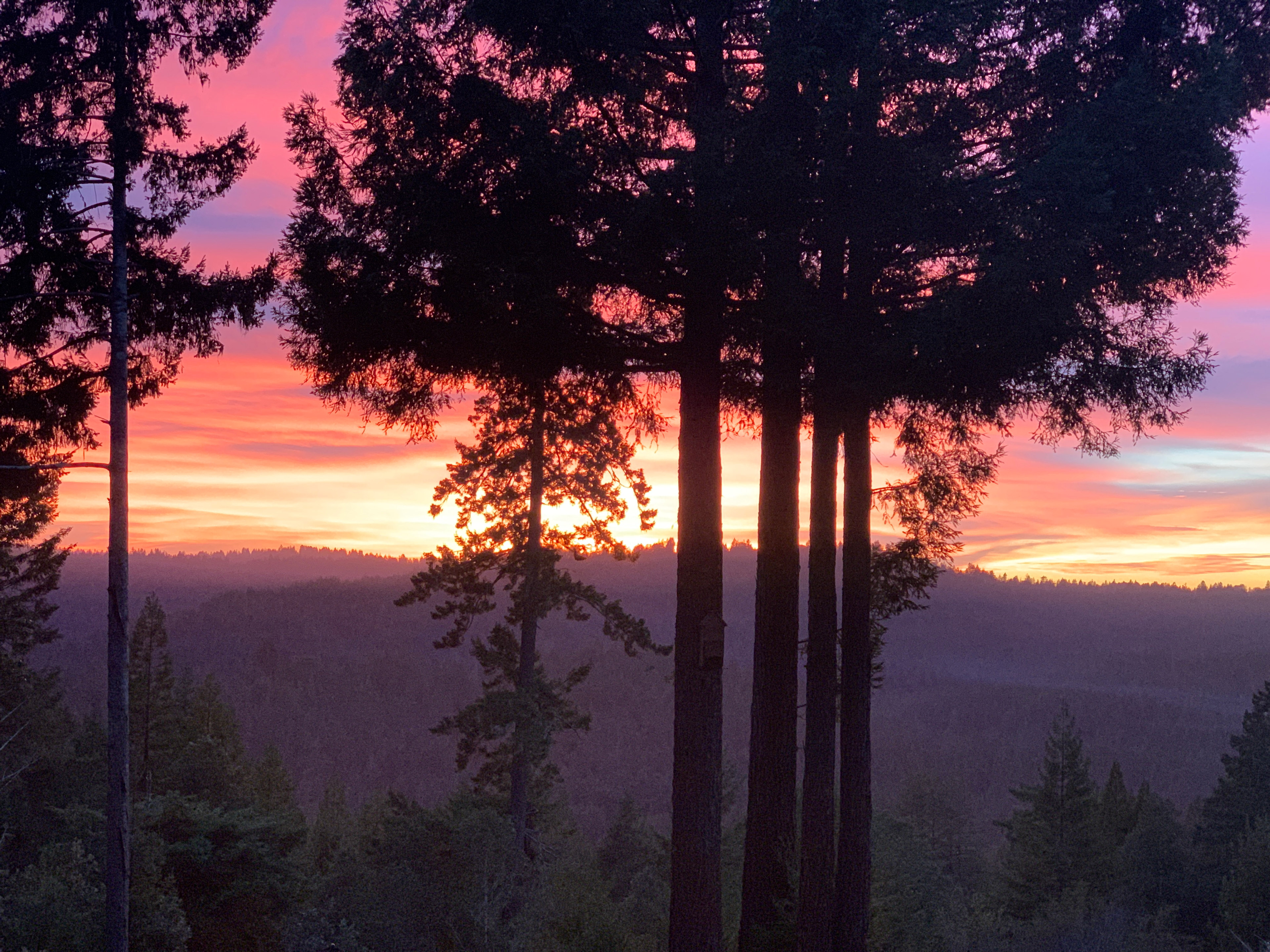 Comptche Matrix @ Sunny-land