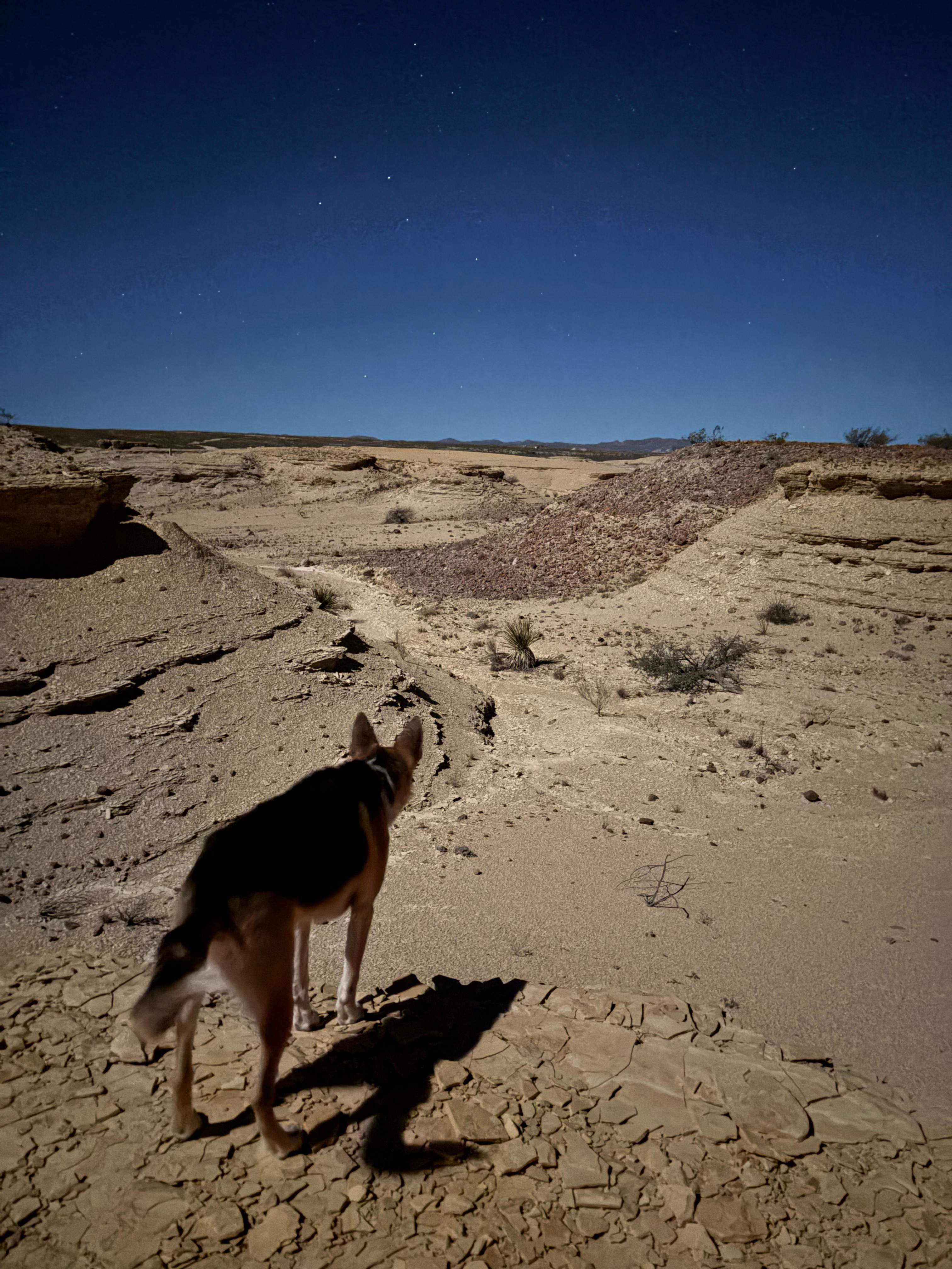 Moonwalker Ranch Terlingua Camping
