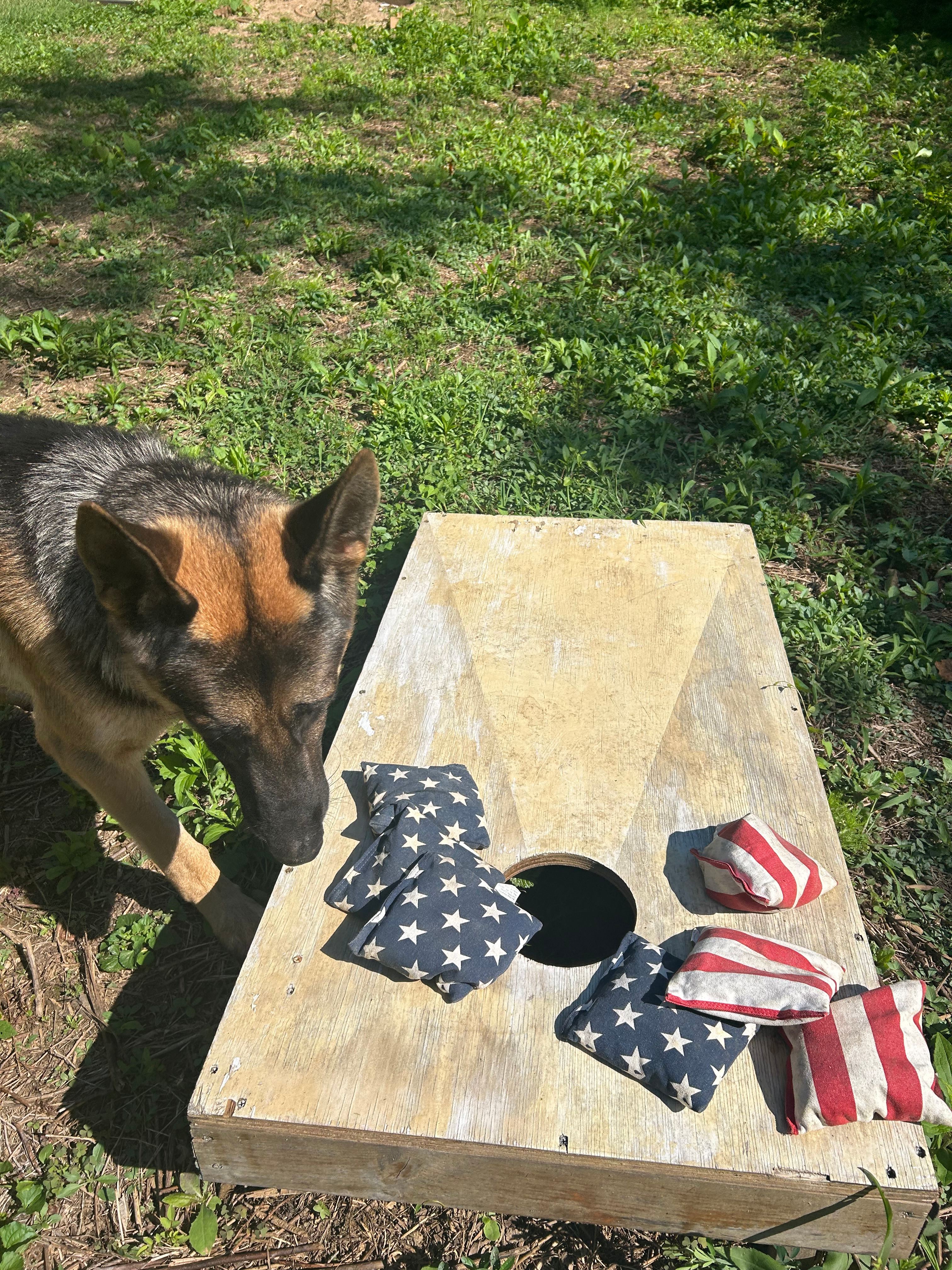 Triple J Farm and Campground