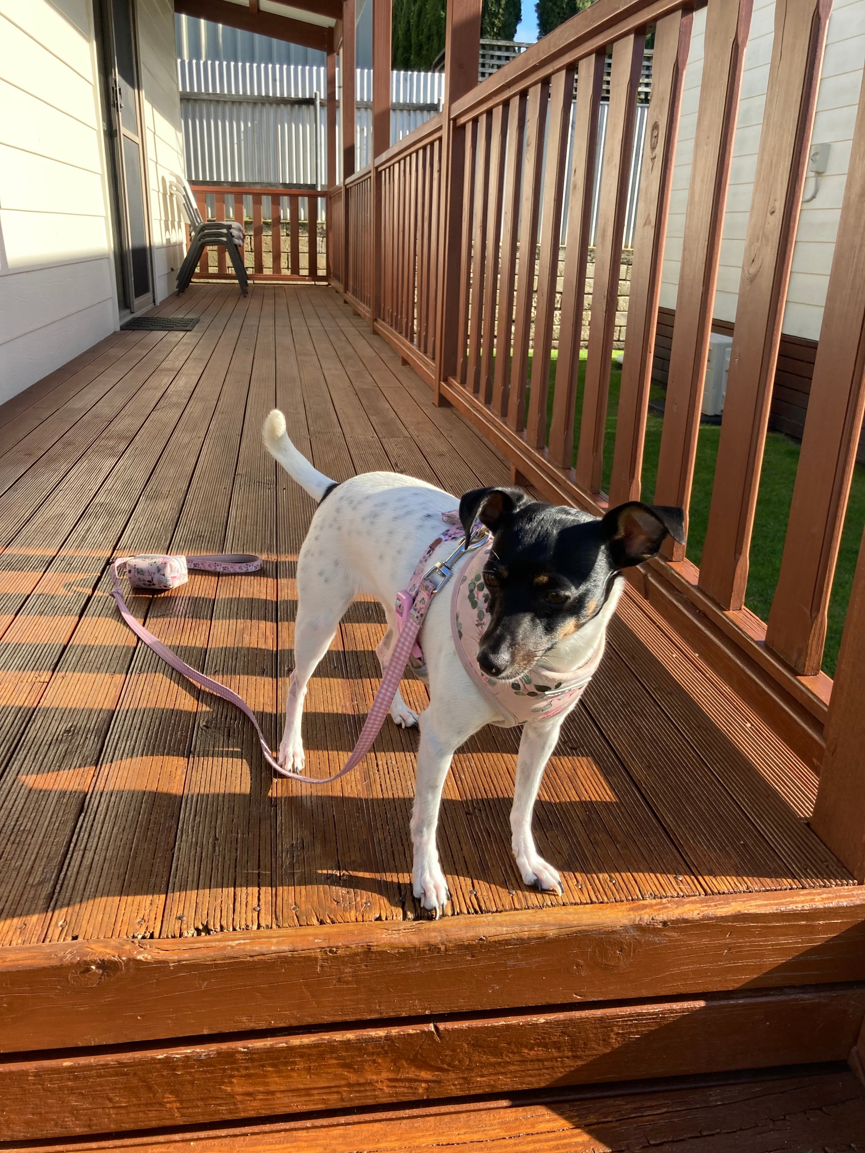 Beachport Caravan Park