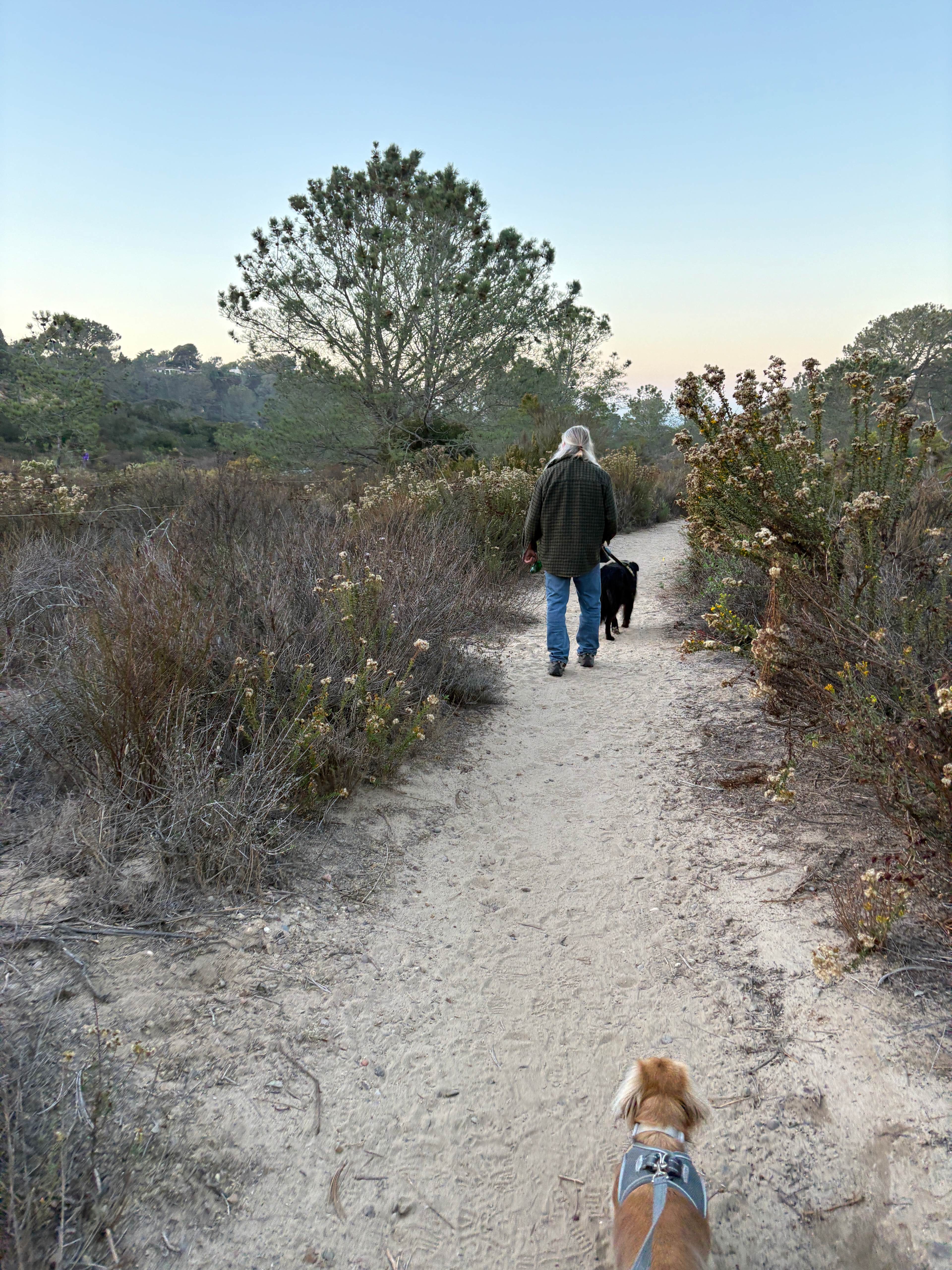 A lovely trail next to the campsite.