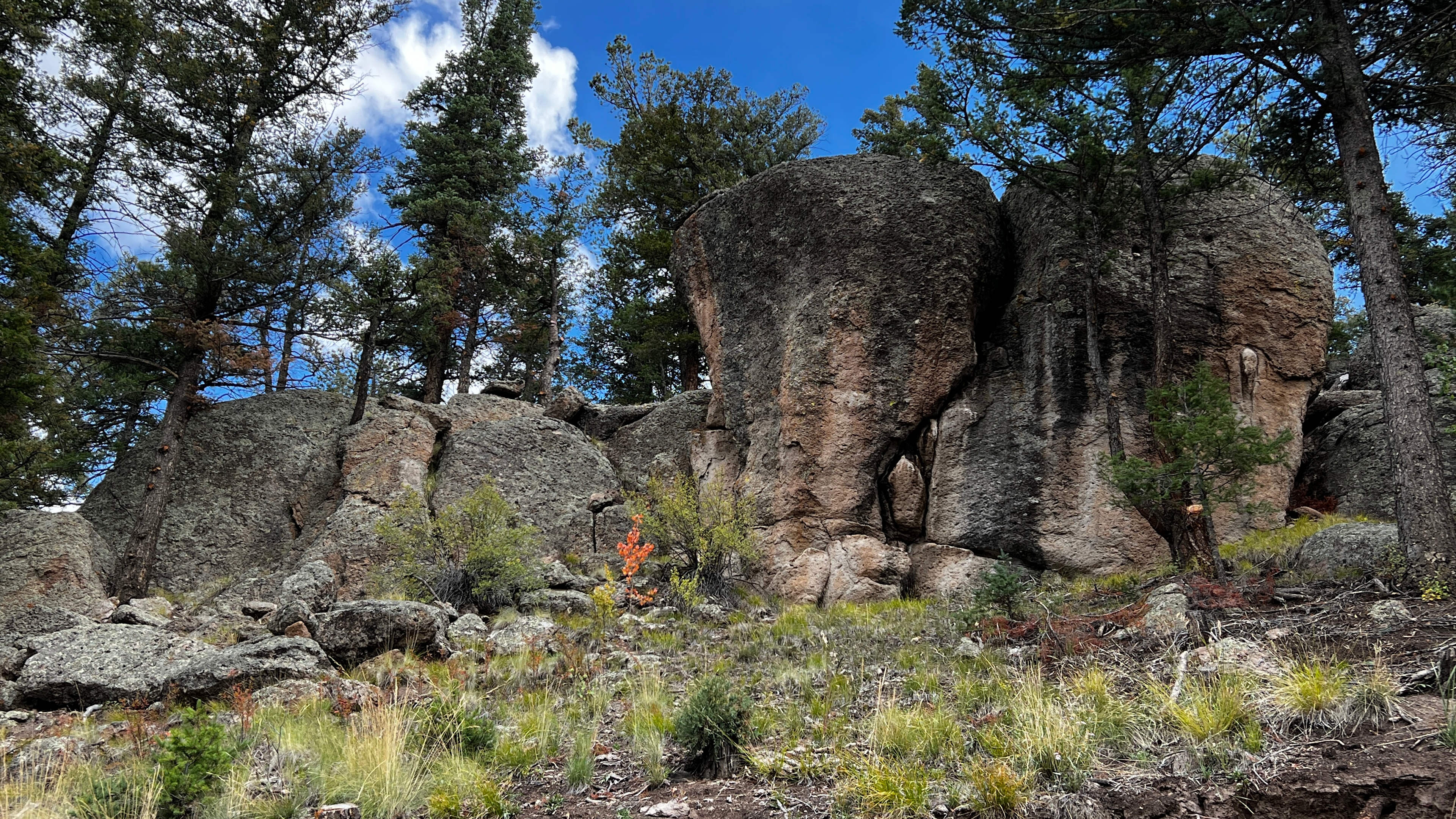 Rio Grande Forest Private Basecamp