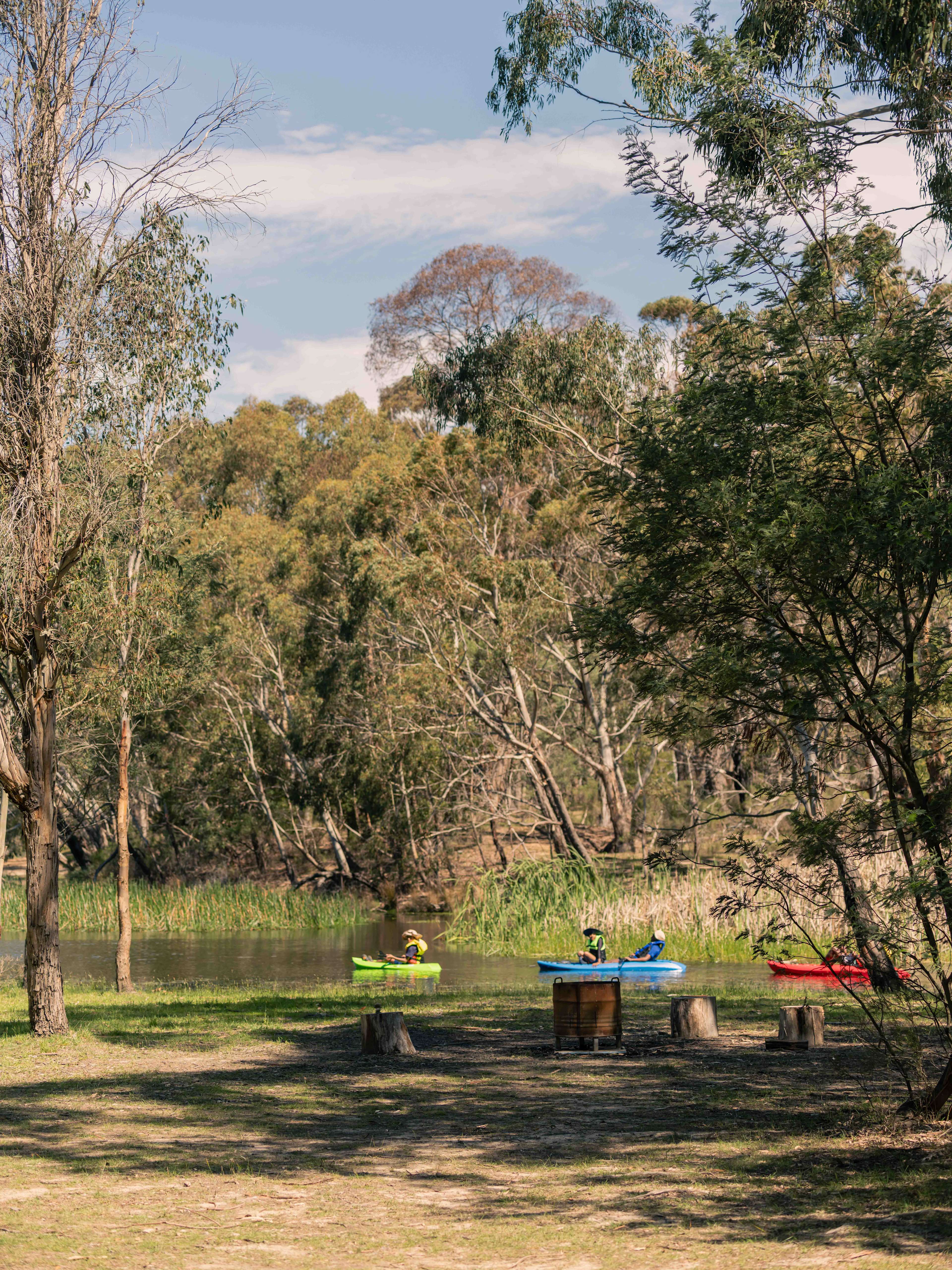 Lancefield Lake's A WETLANDS WONDER