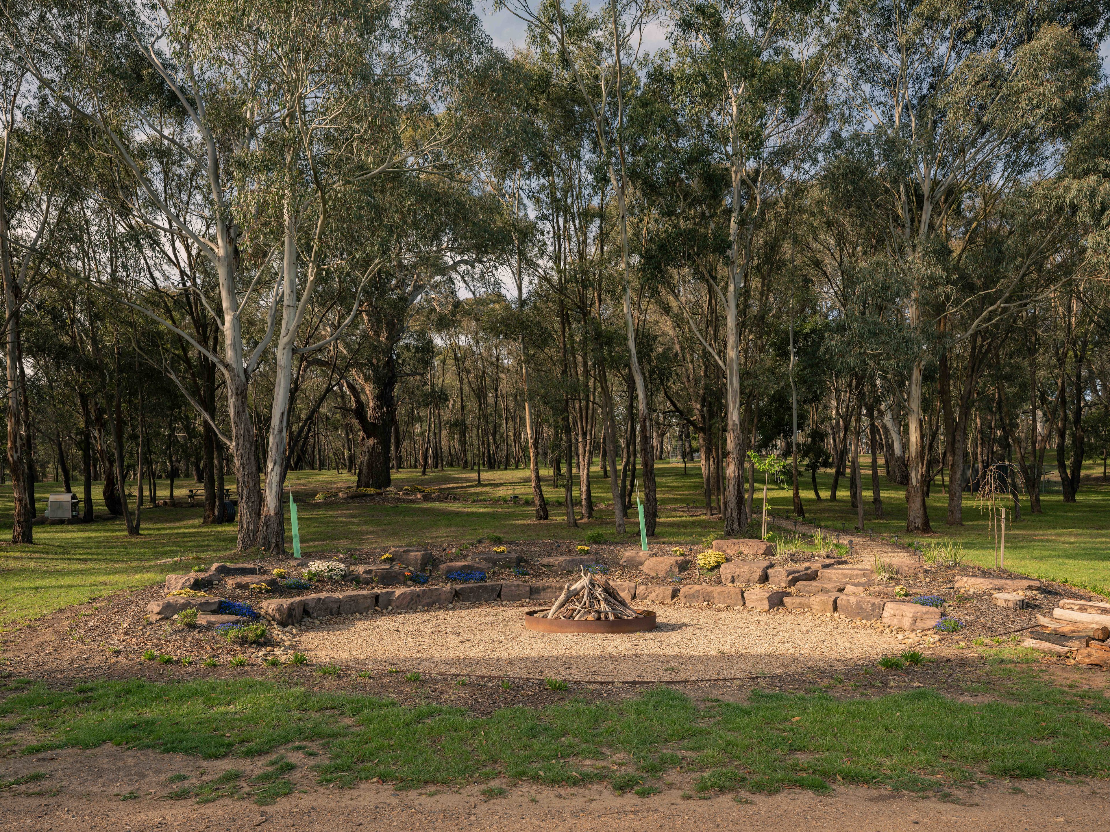 Lancefield Lake's A WETLANDS WONDER