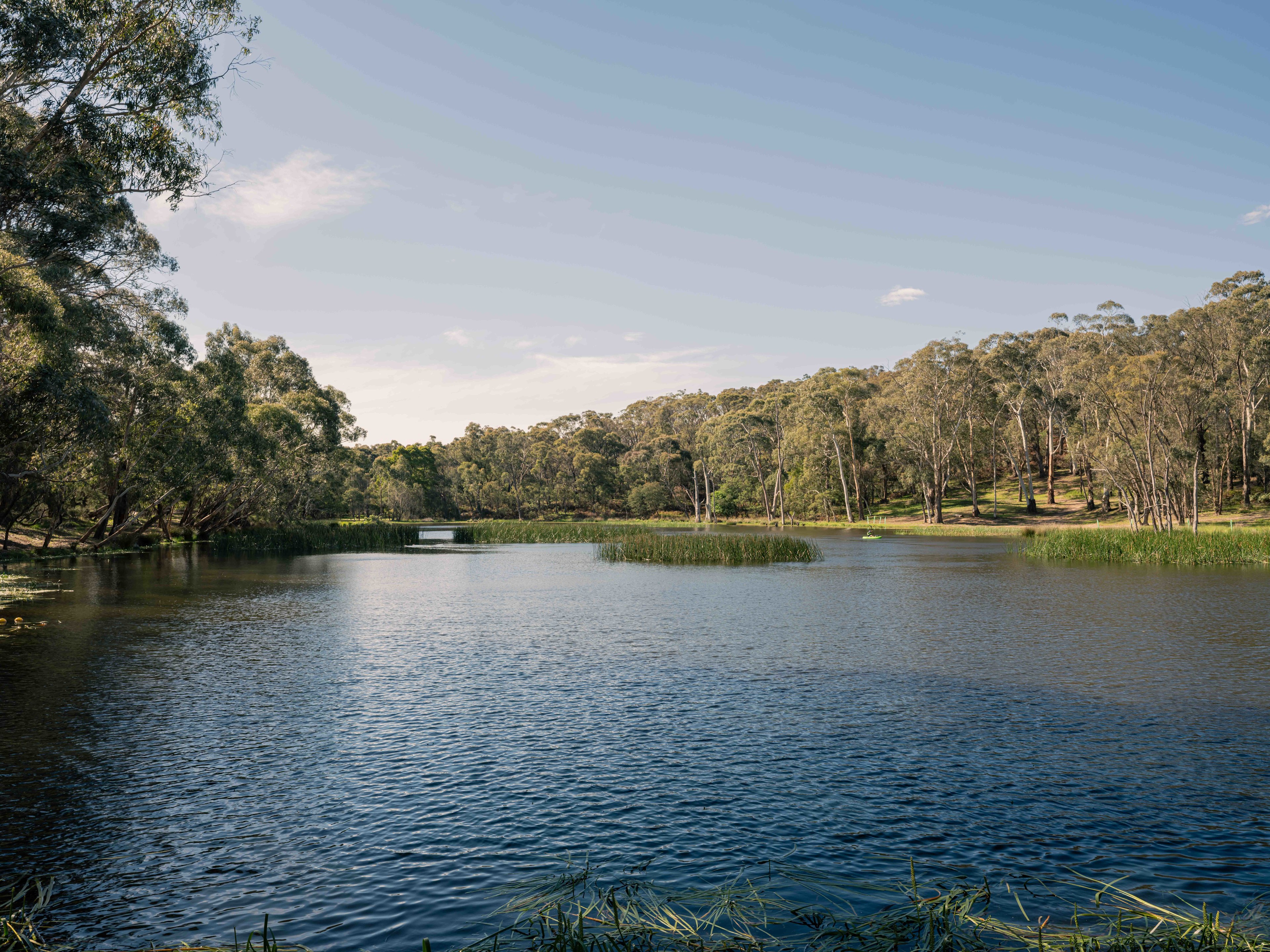 Lancefield Lake's A WETLANDS WONDER