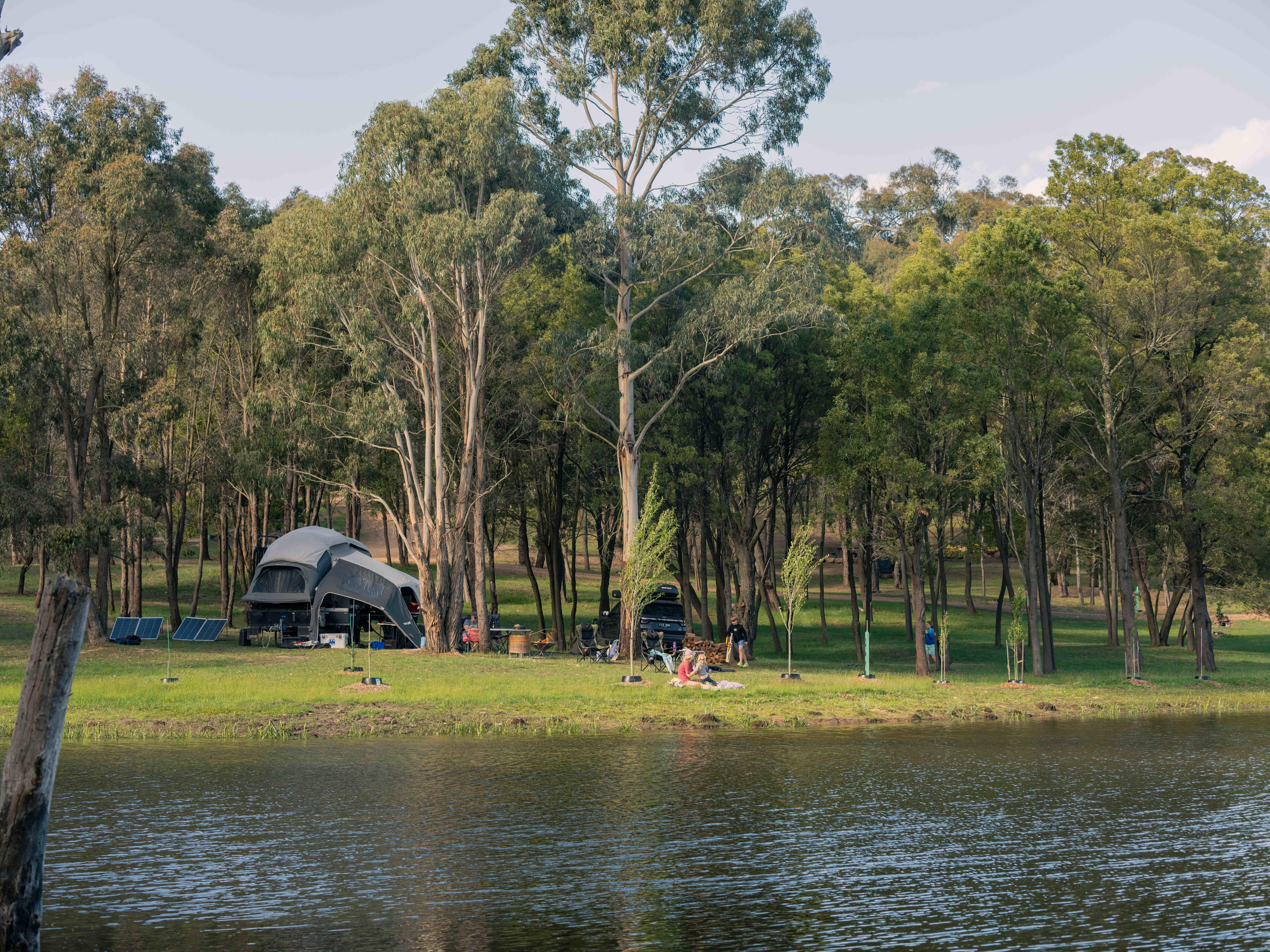 Lancefield Lake's A WETLANDS WONDER