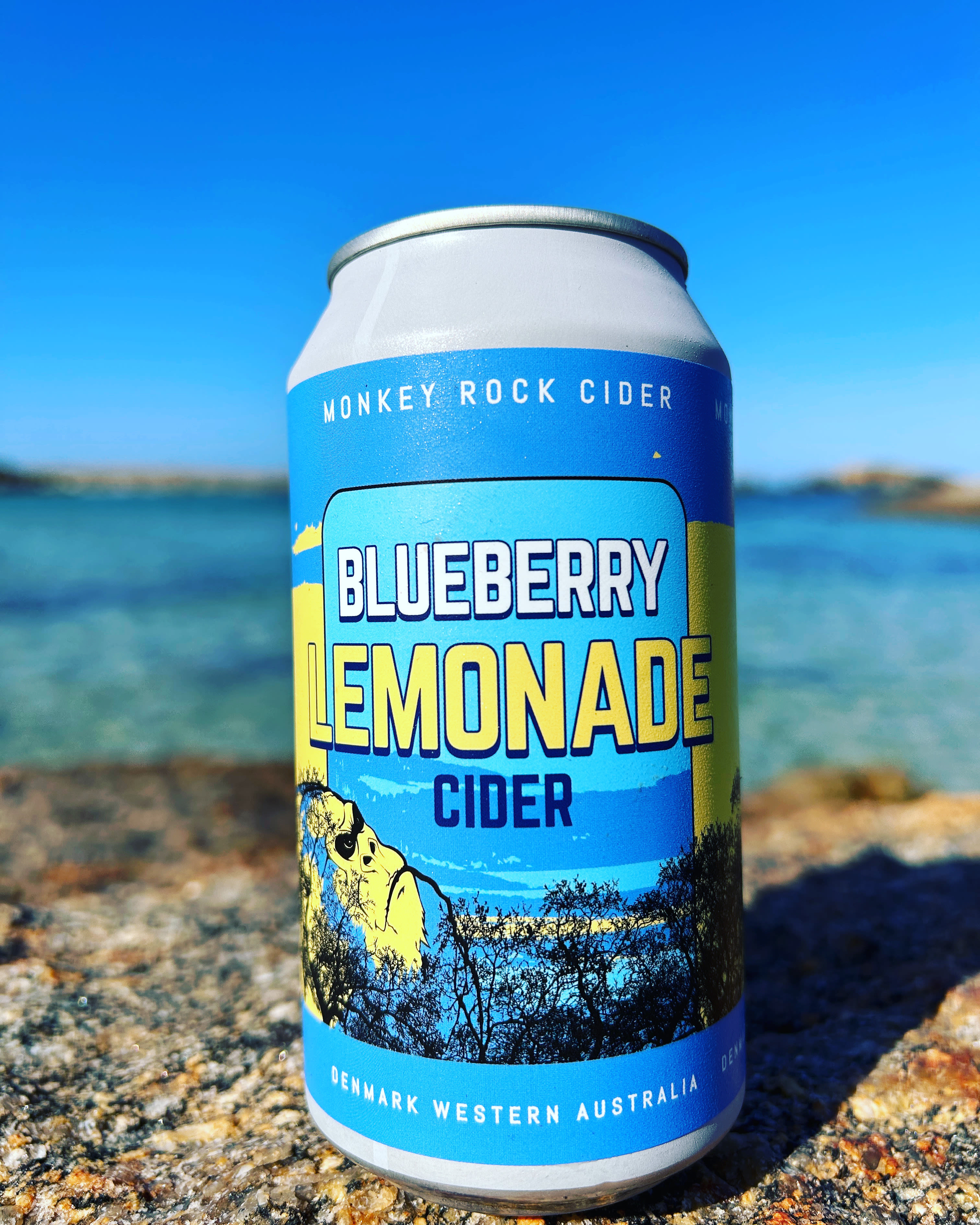 Monkey Rock Cider & Brewing Co