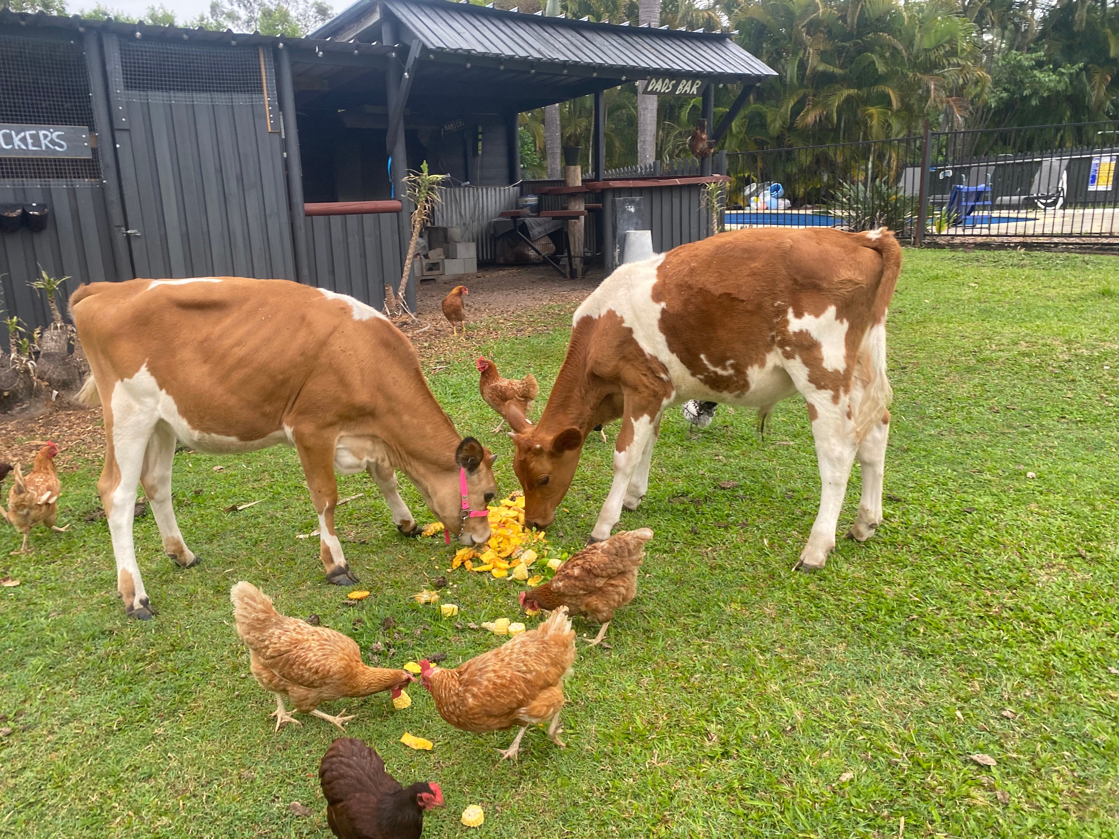 Rocky Creek Grasslands