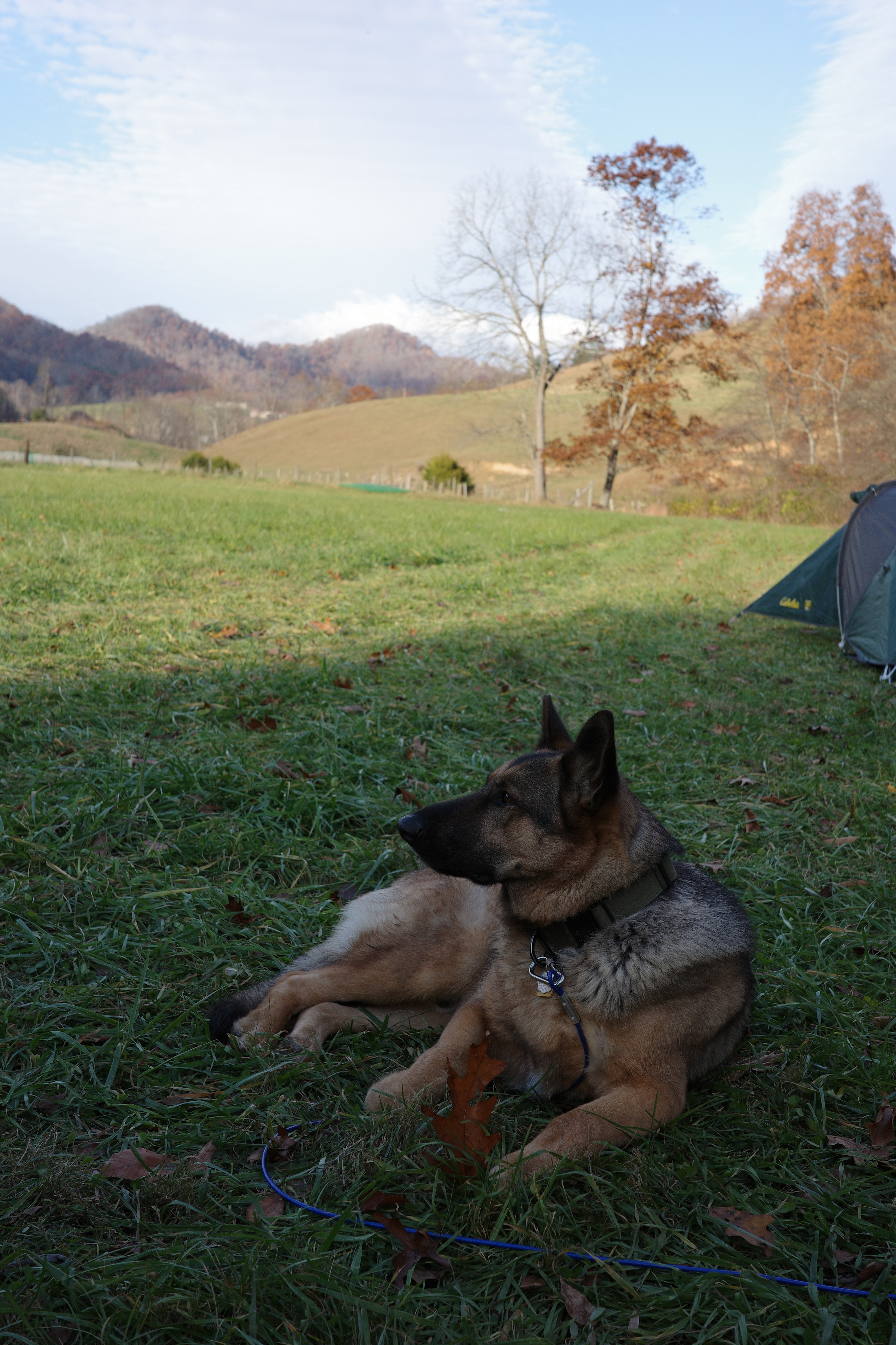 Turkey Creek Oasis~valley views