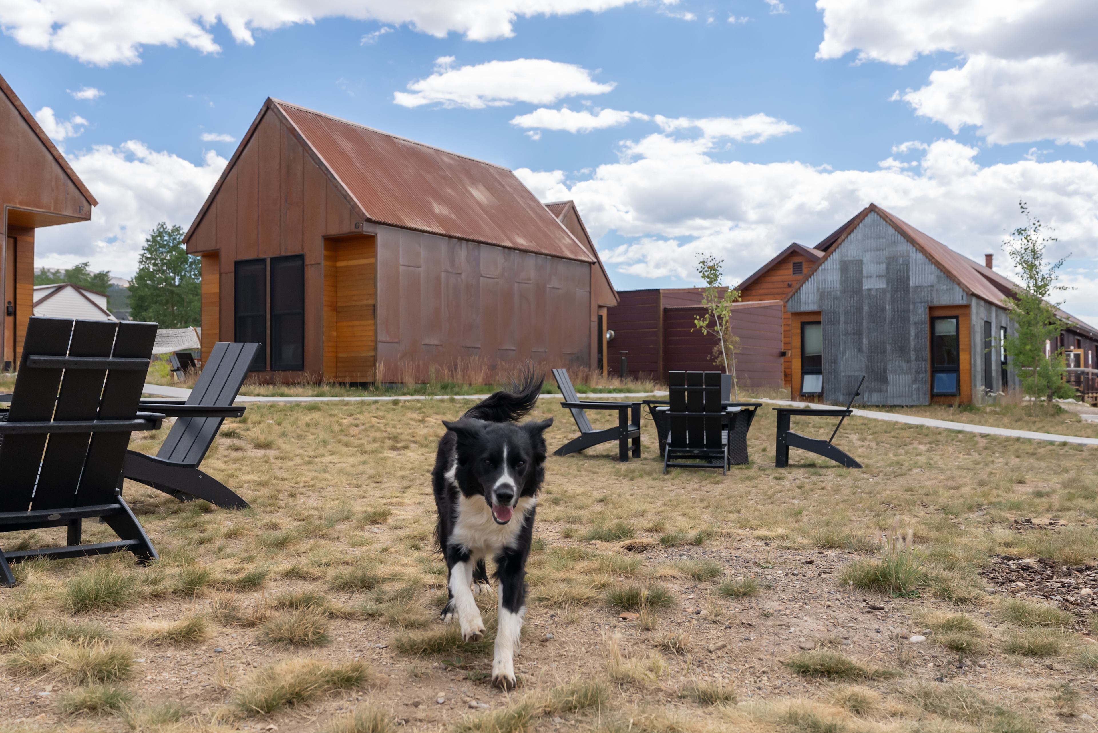 S.L.umber Yard At FREIGHT