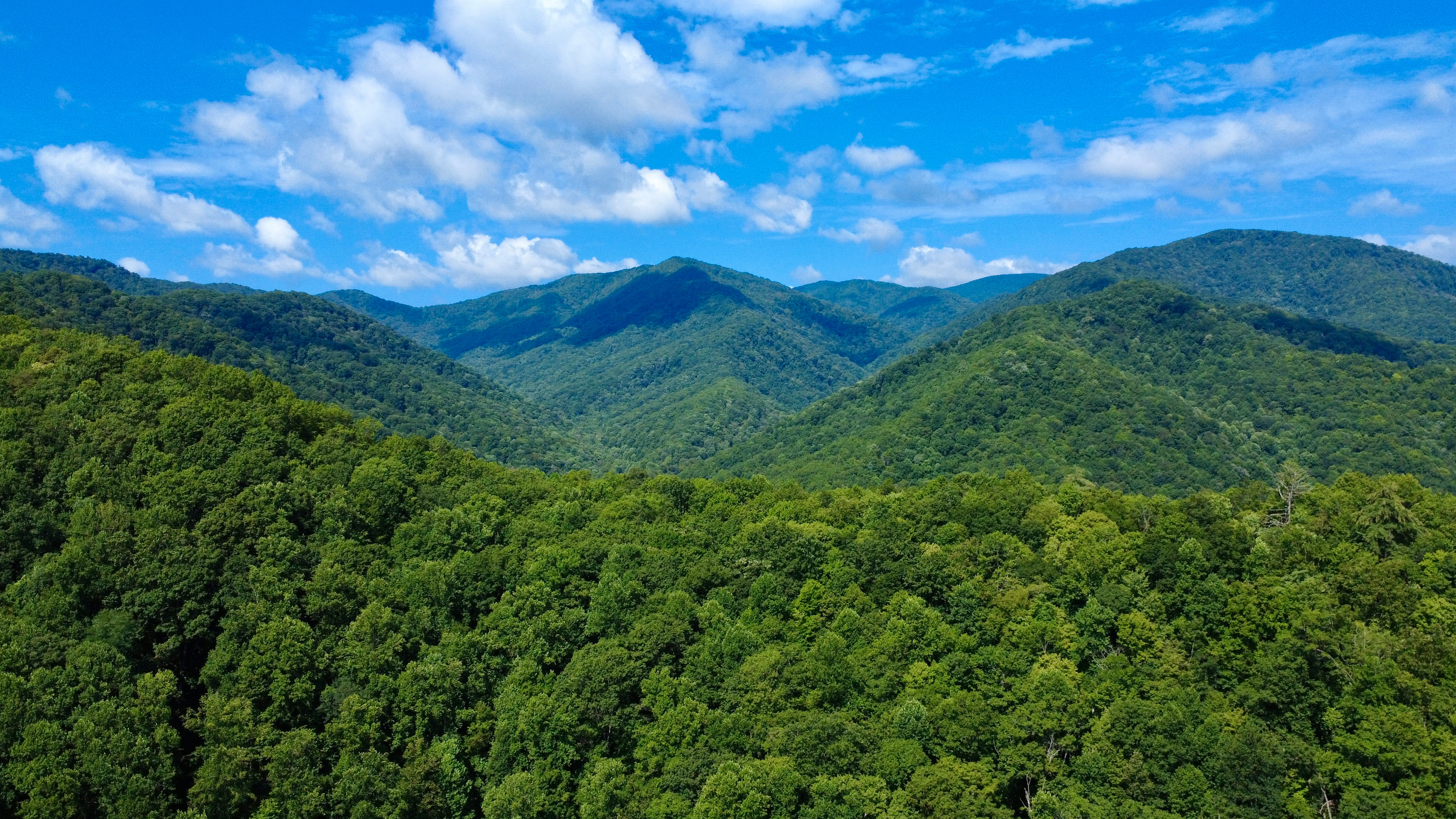 The Appalachian Mountains that surround The Cove.