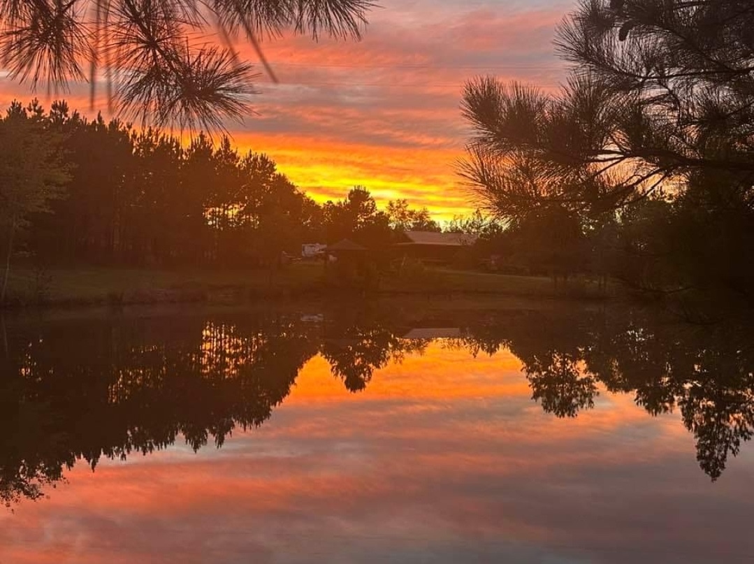 Twin Pines Farms LLC