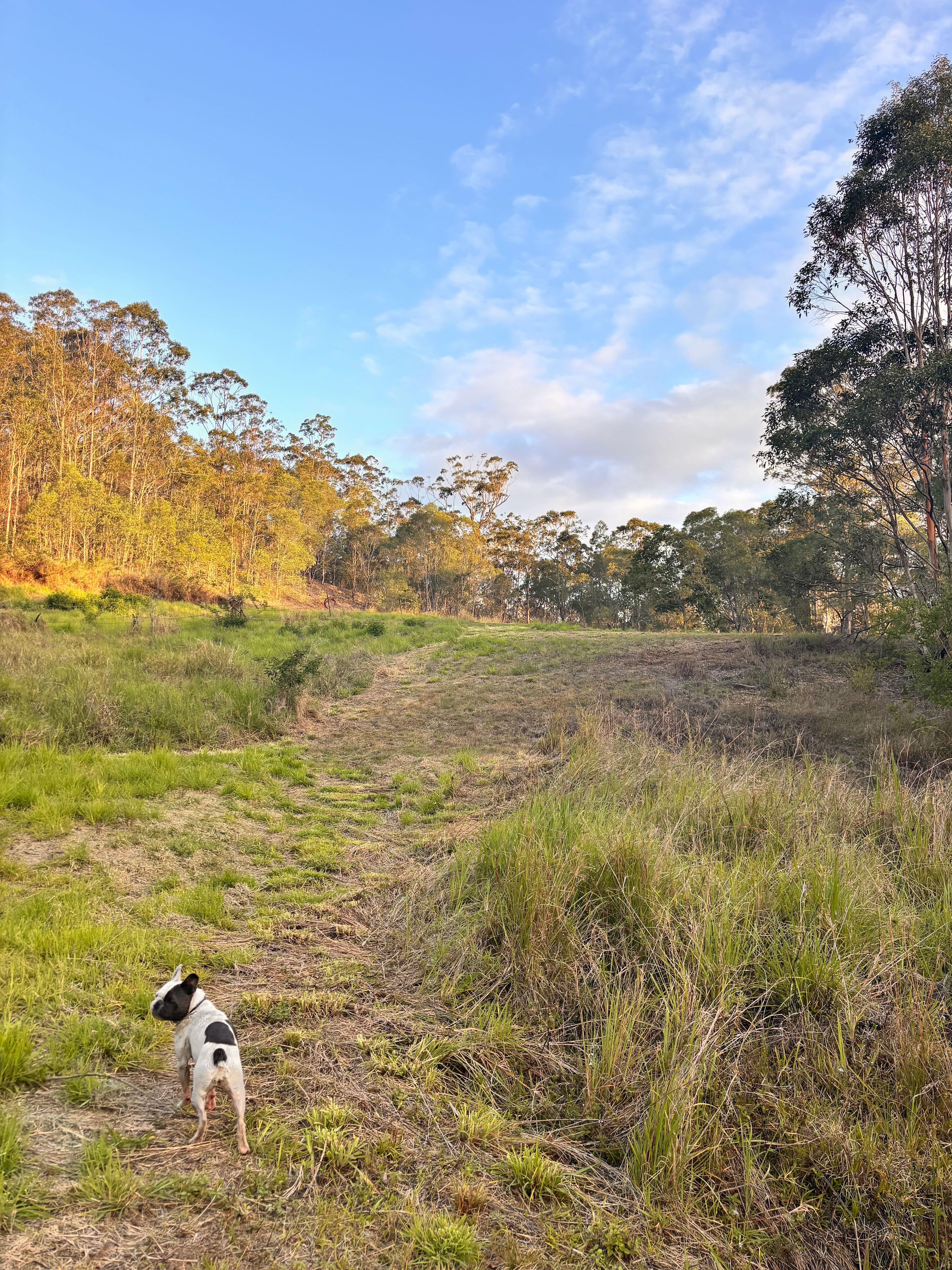 The Creekside Collective