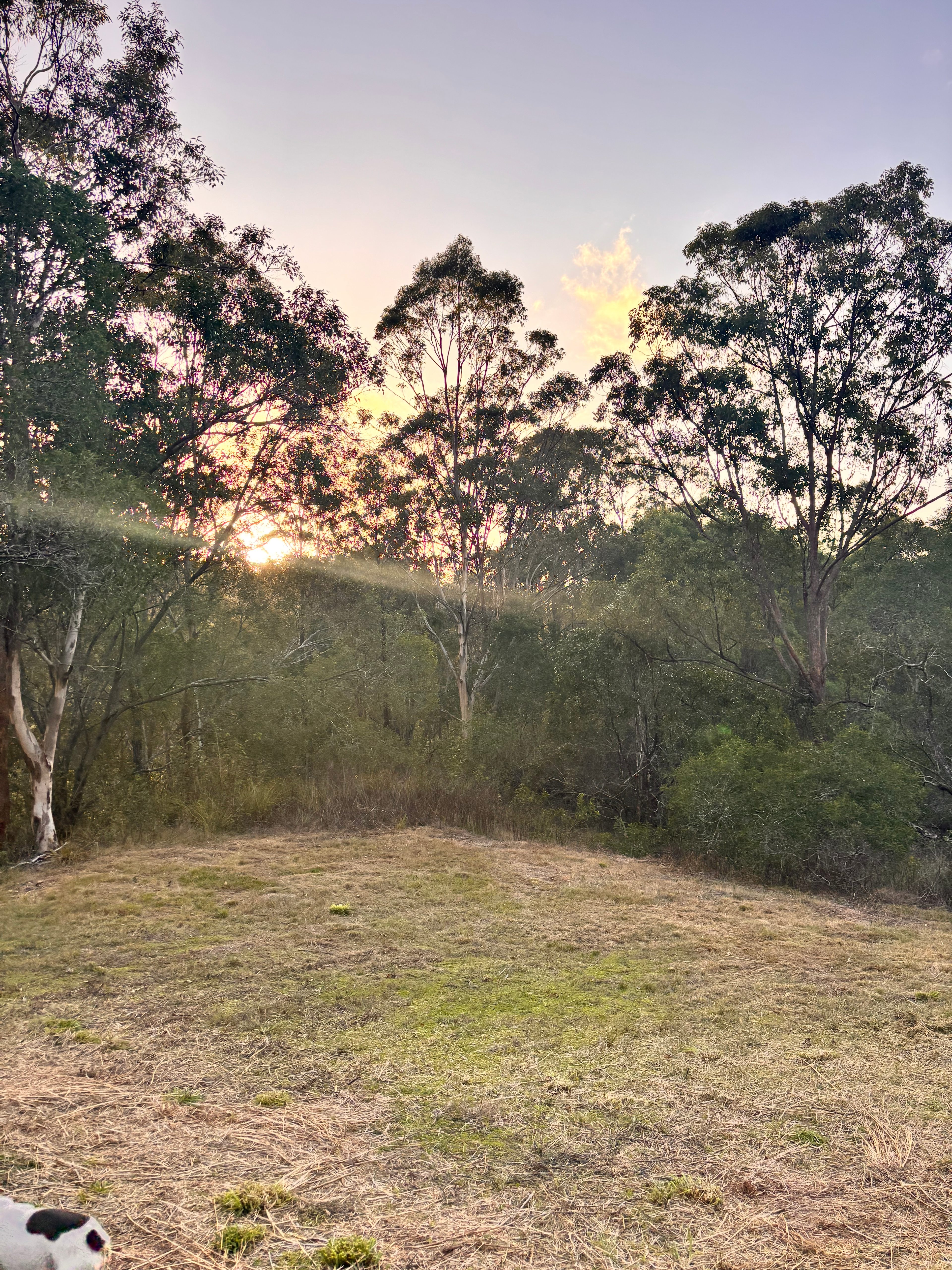 The Creekside Collective