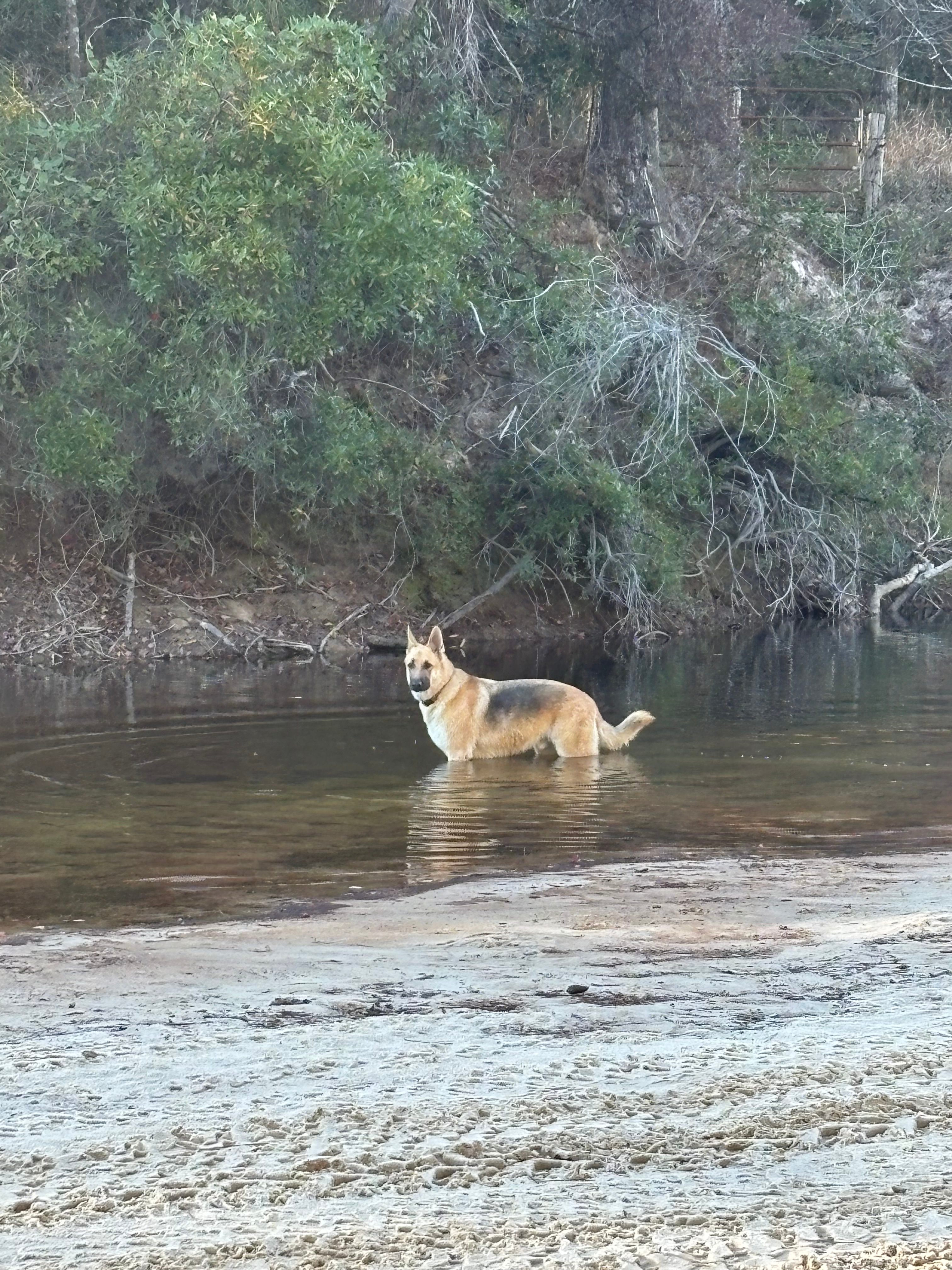 River Life Camping in Alabama