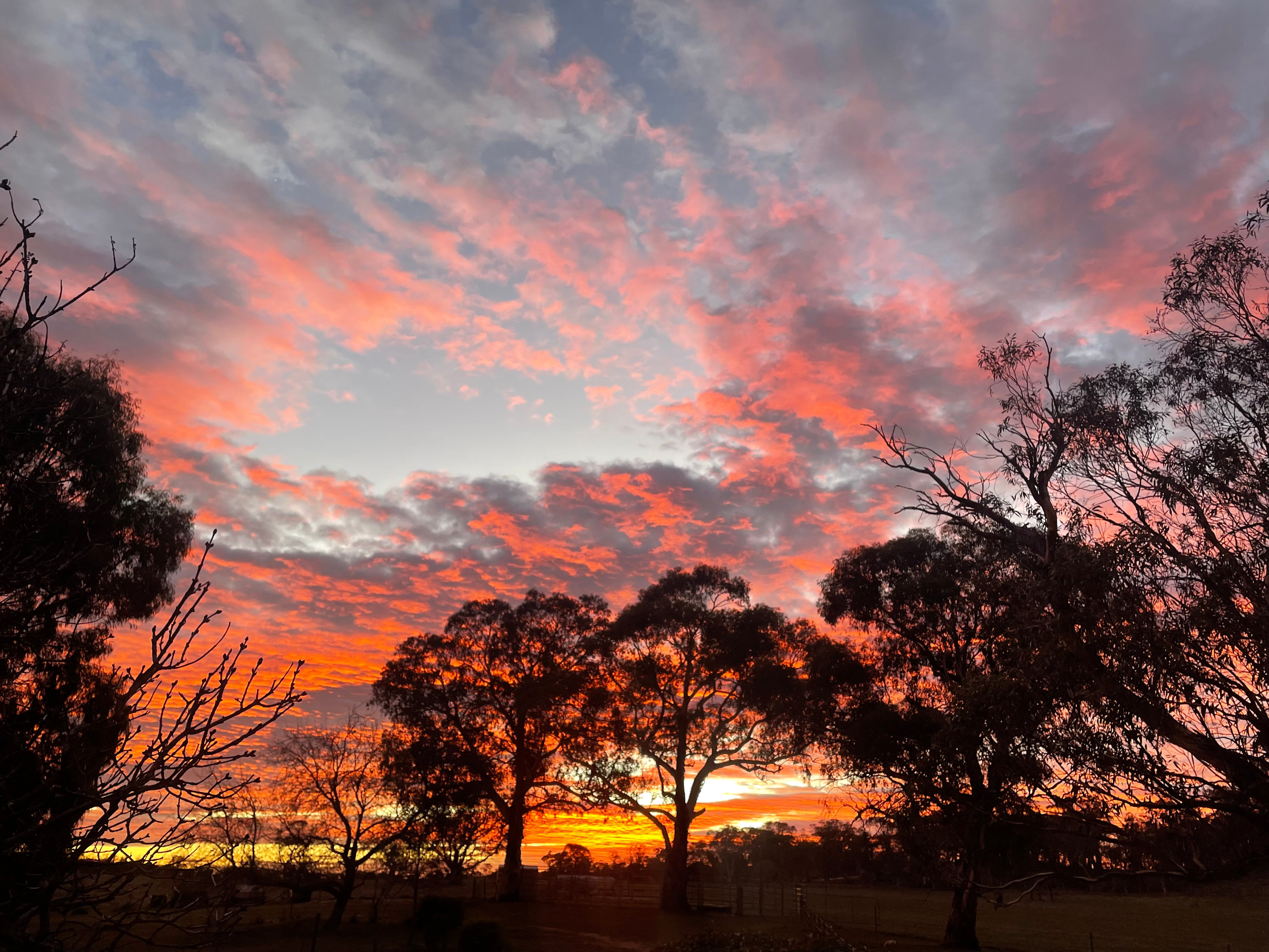 Fairleys- Snowy Stays