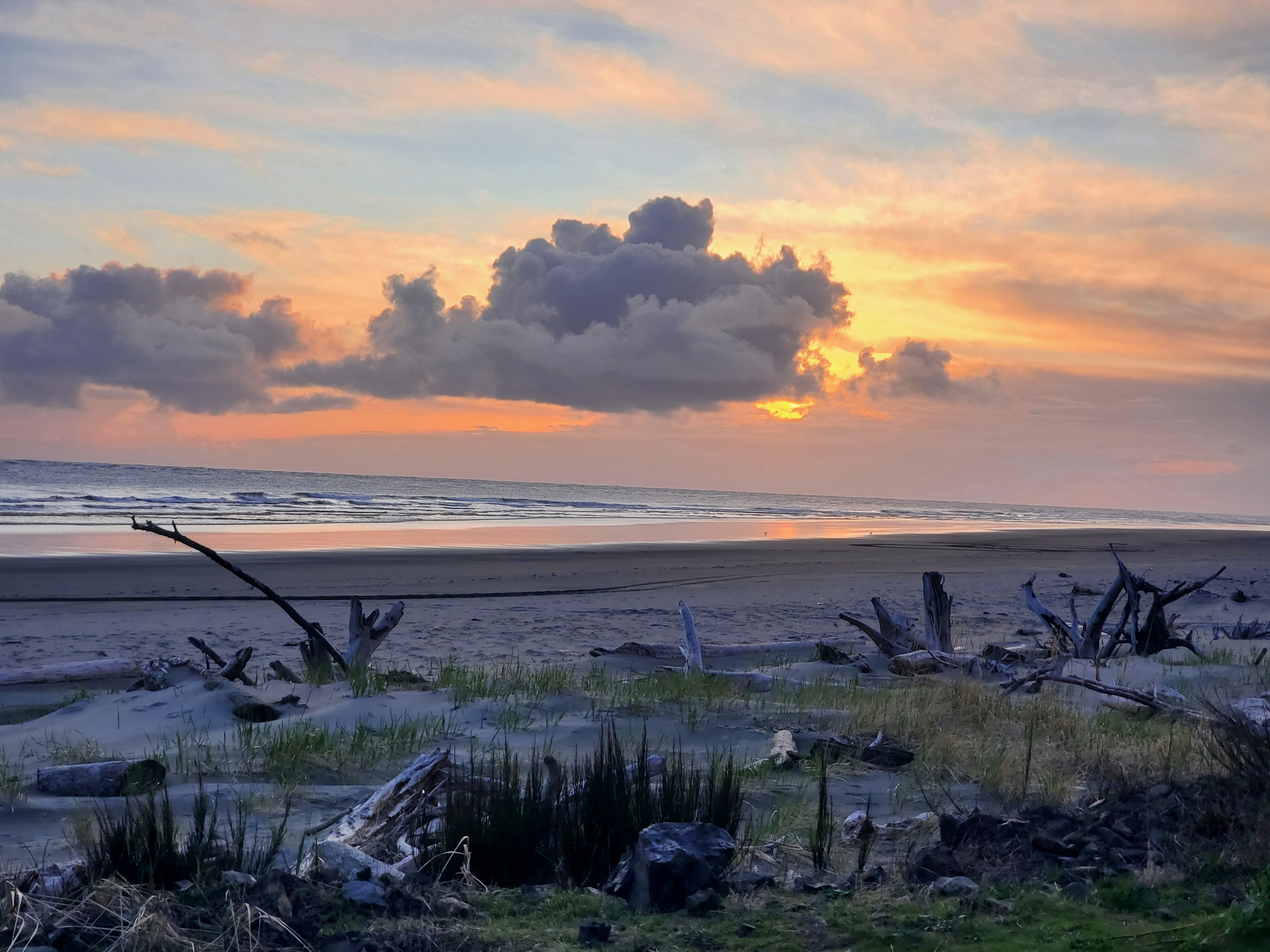 North Cove Coastal Camping WA