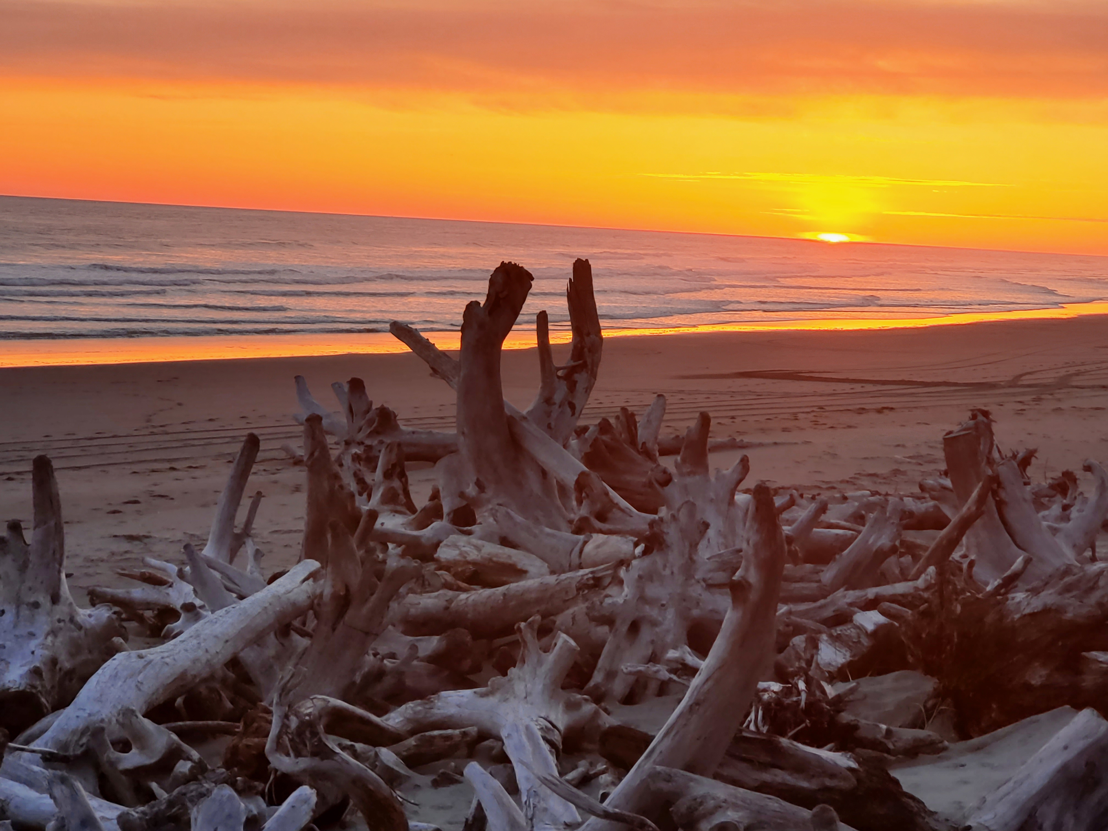 North Cove Coastal Camping WA