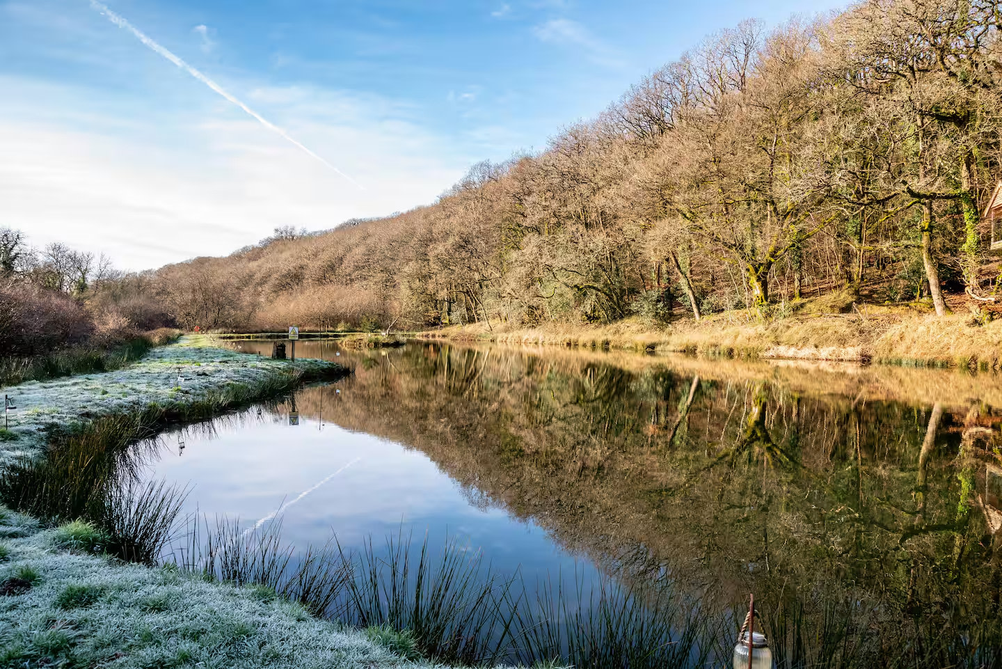 Yeworthy Eco Treehouse