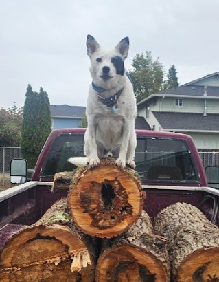 Gravel Crest RV Camp