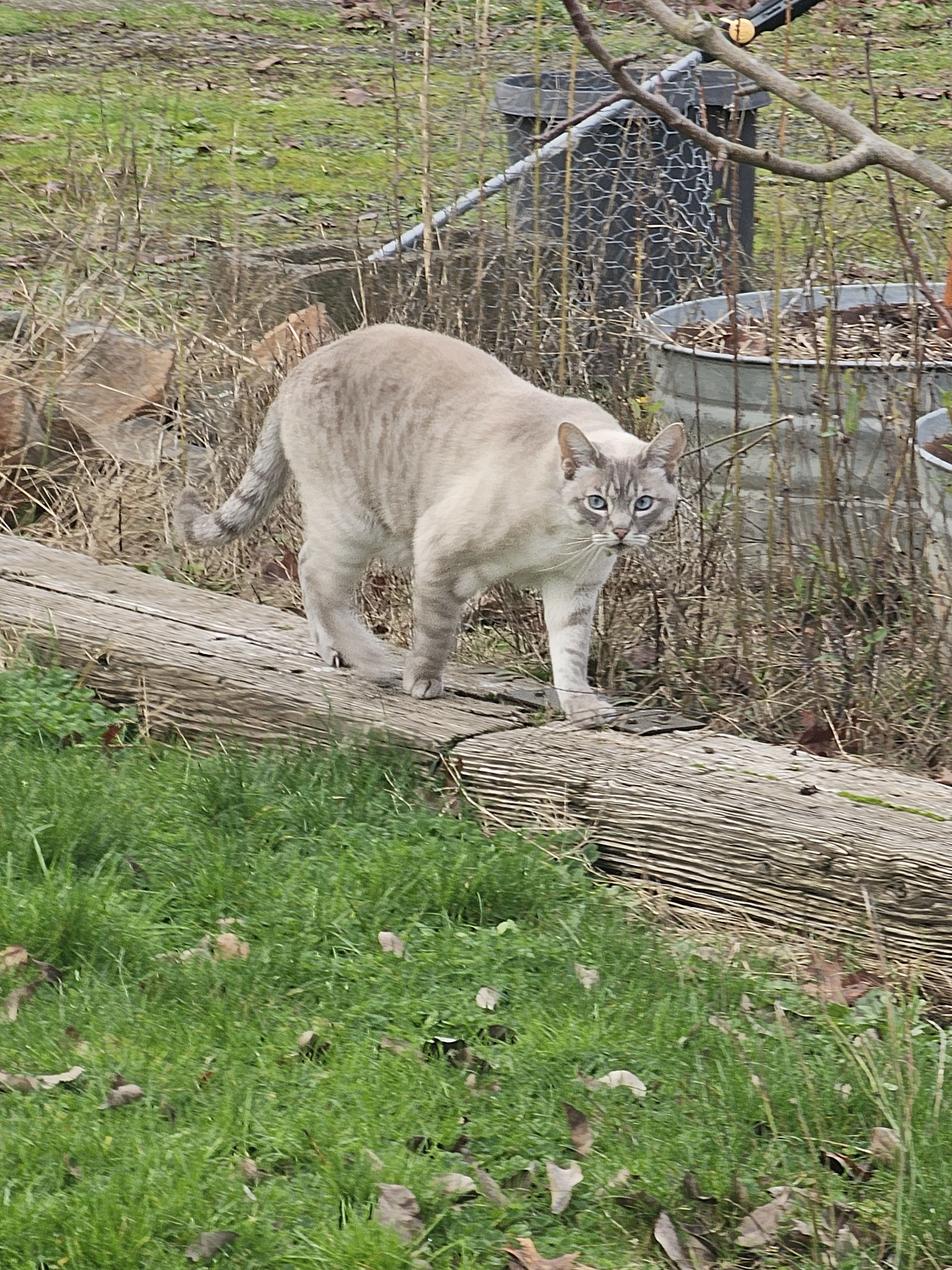 Gravel Crest RV Camp