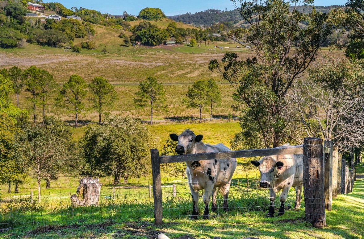 The Ranch at Howards Grass