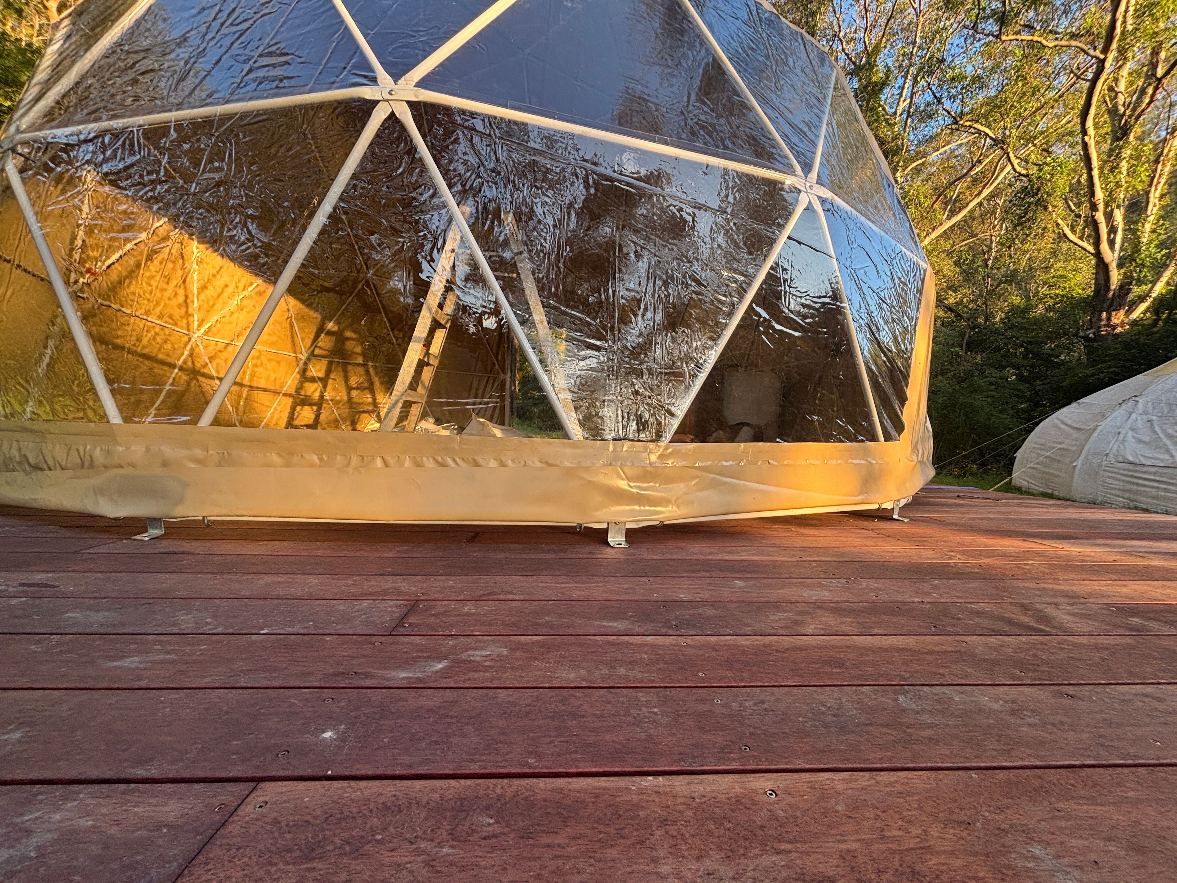 Glamping Around An Ancient Tree