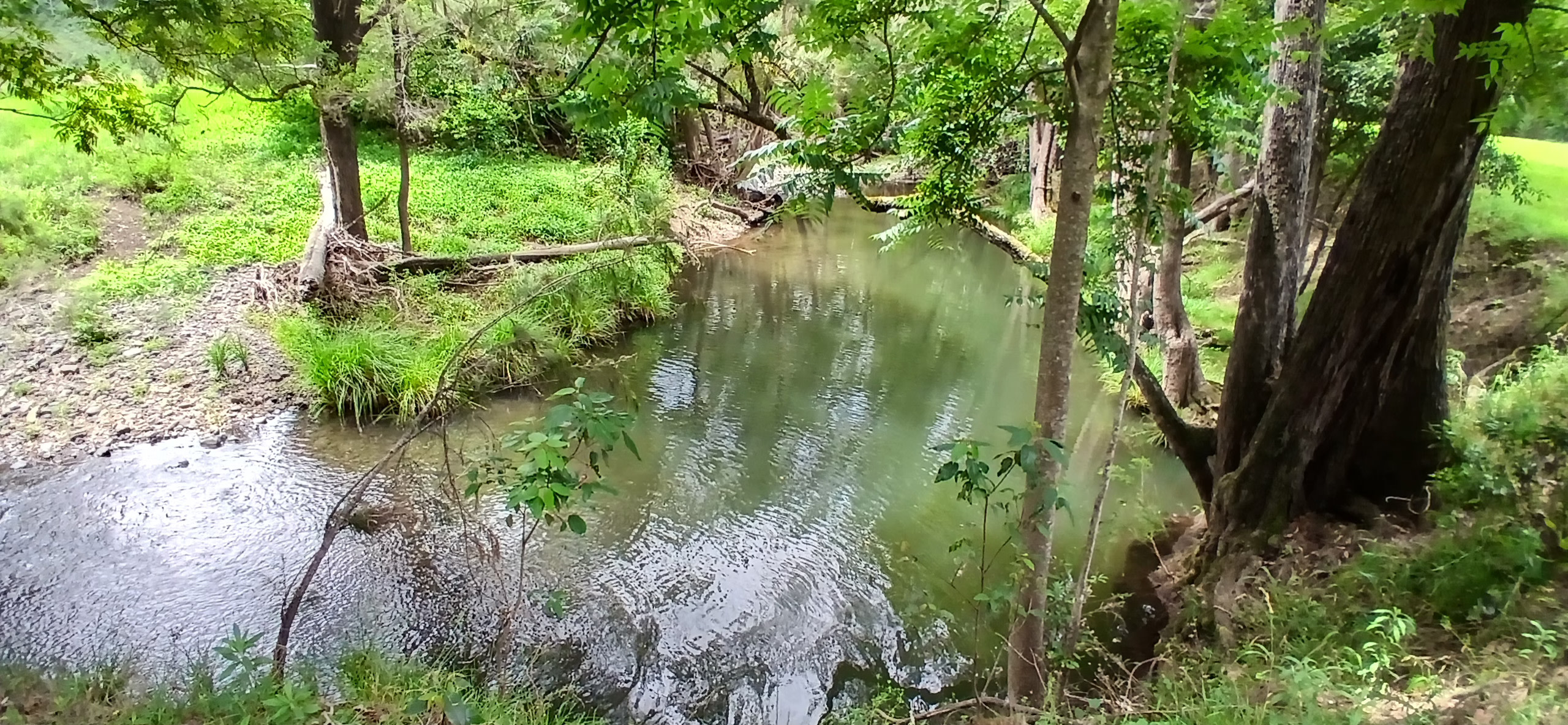 Creek Days at Roseberry