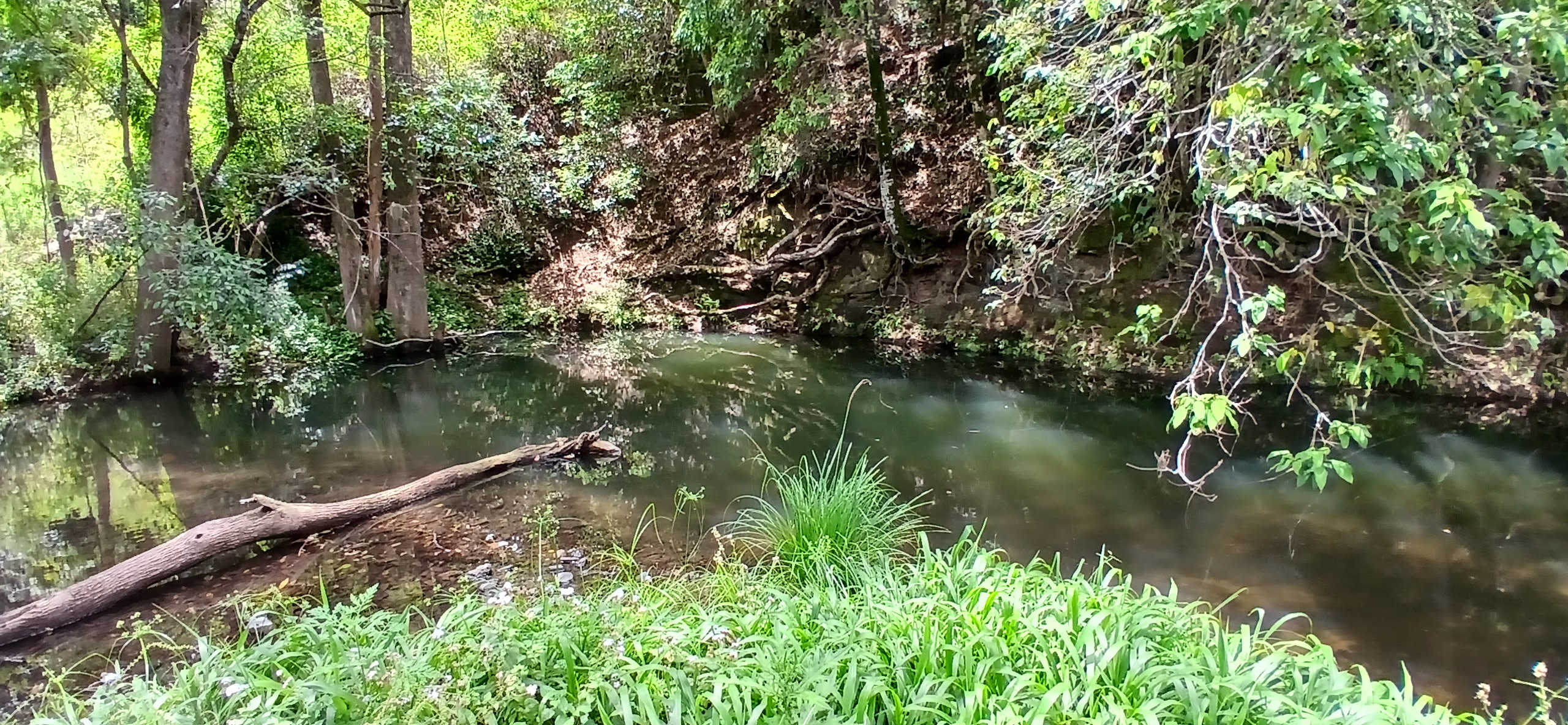 Creek Days at Roseberry