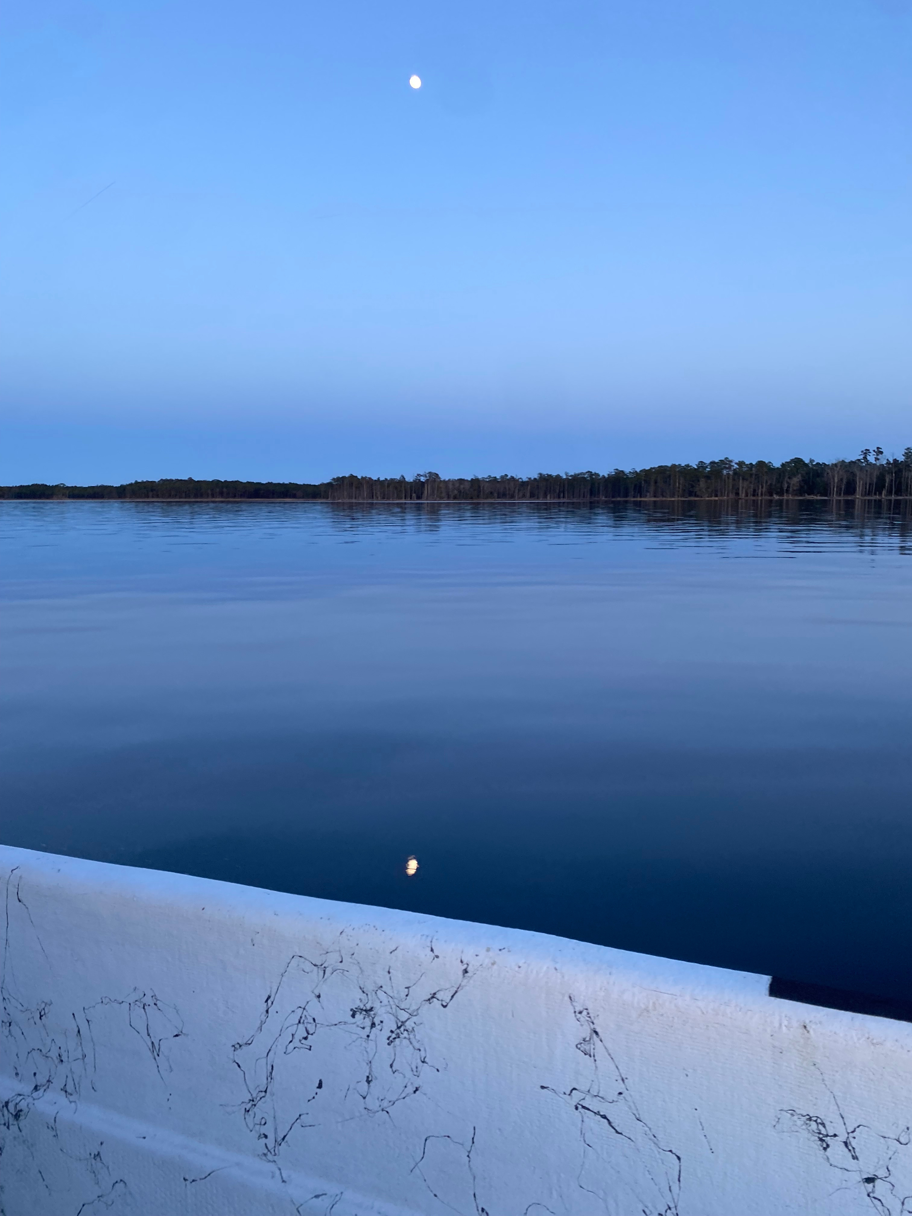 Holston Log Cabin and Lodging