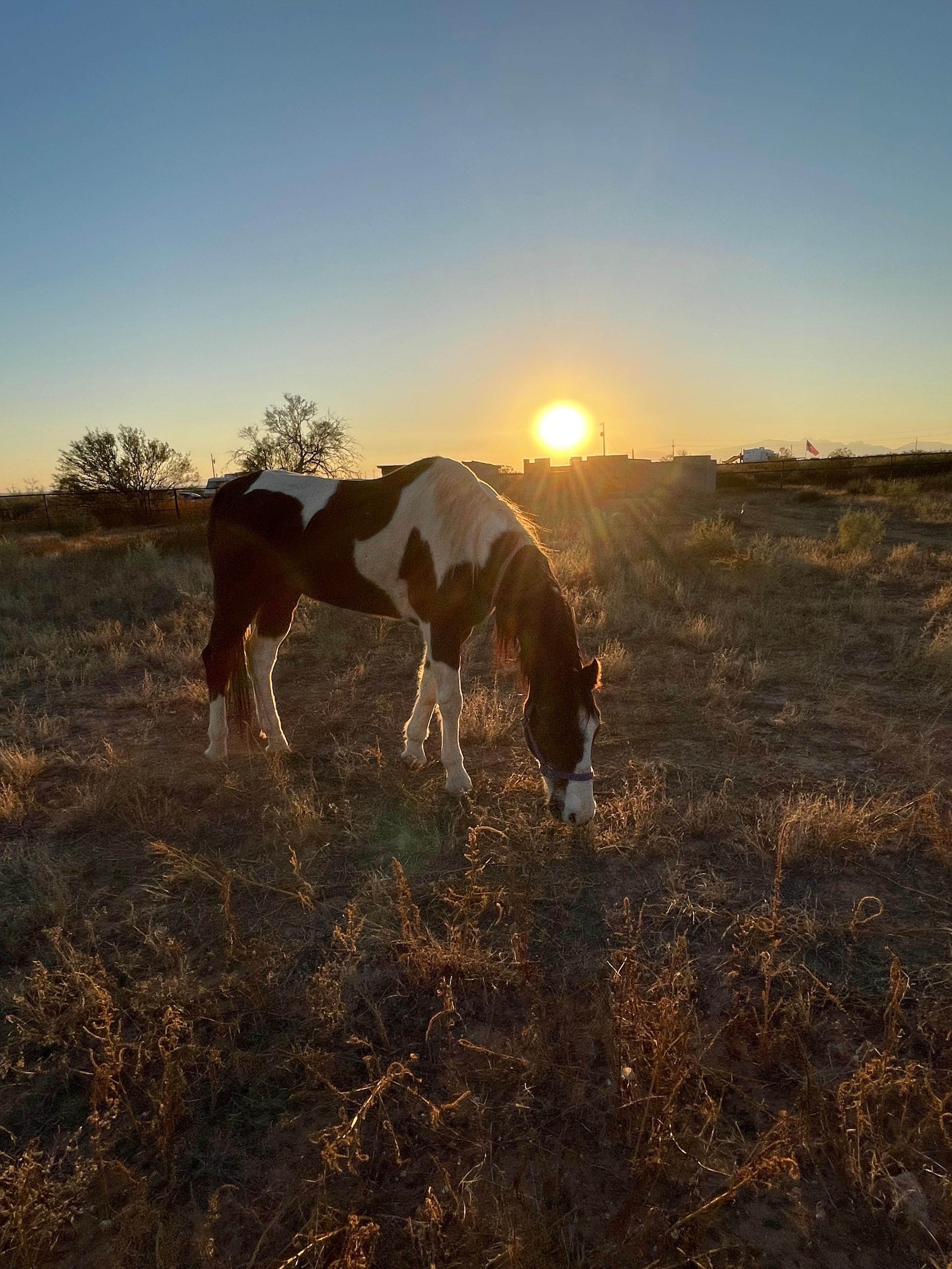 KB Horse Rv/Van/Tent Camp