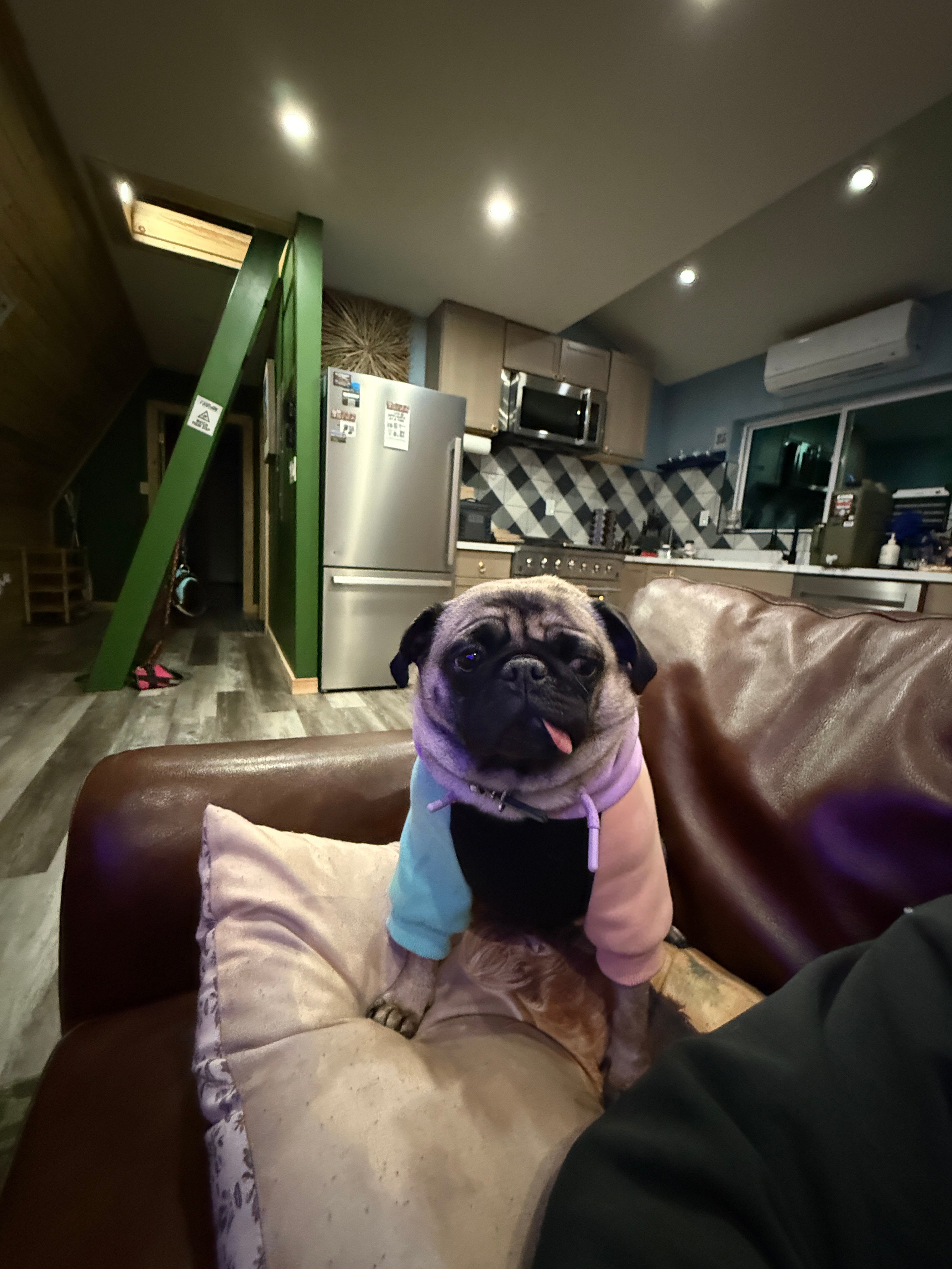 A-Frame By Grand Canyon With Sauna