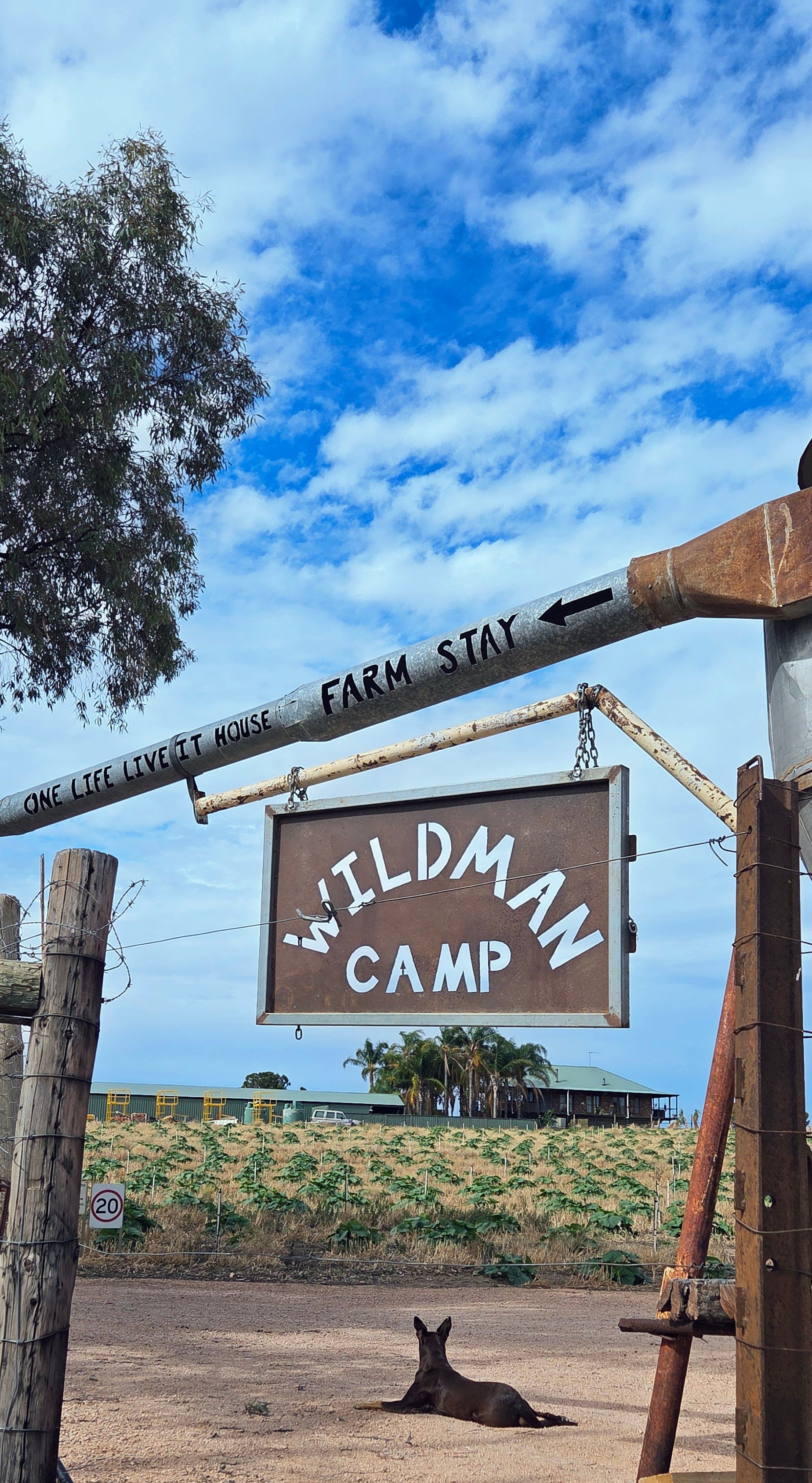 Wildman Camp