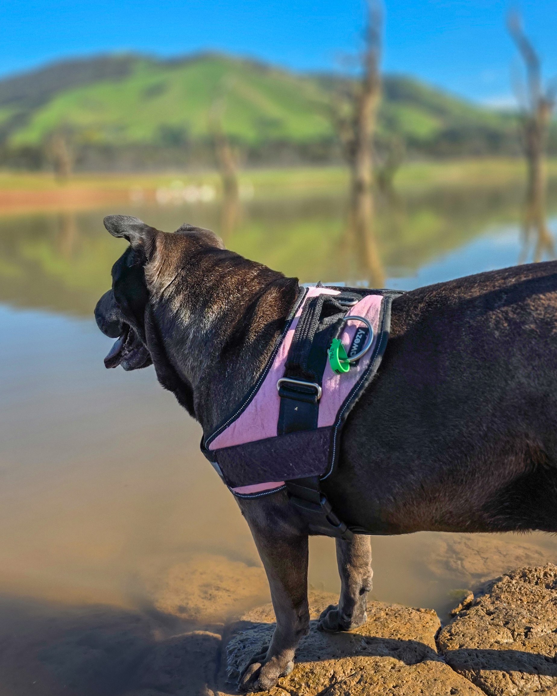 Mansfield Lakeside Holiday Park