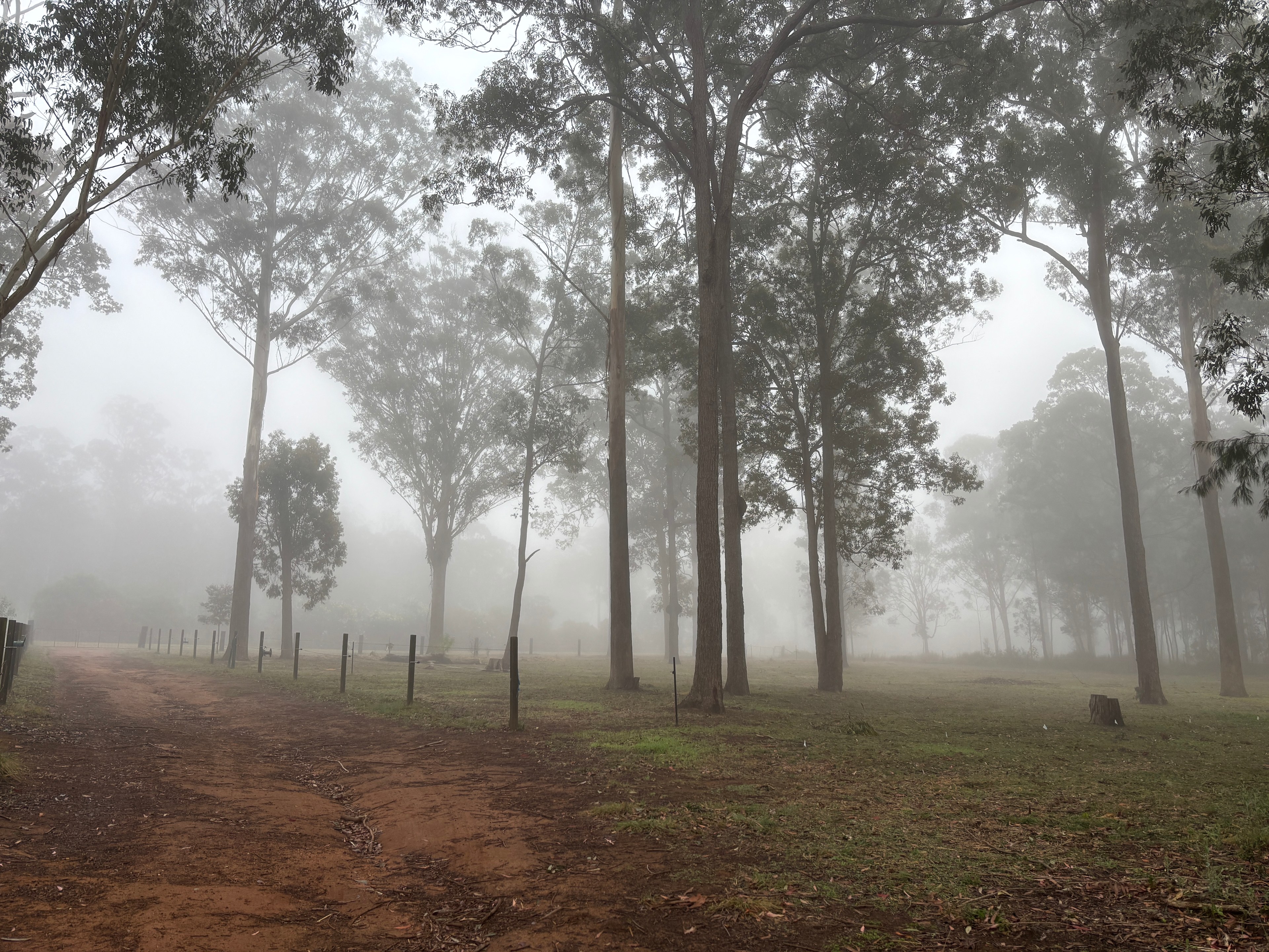 Blackbutt Permaculture Farm Camp