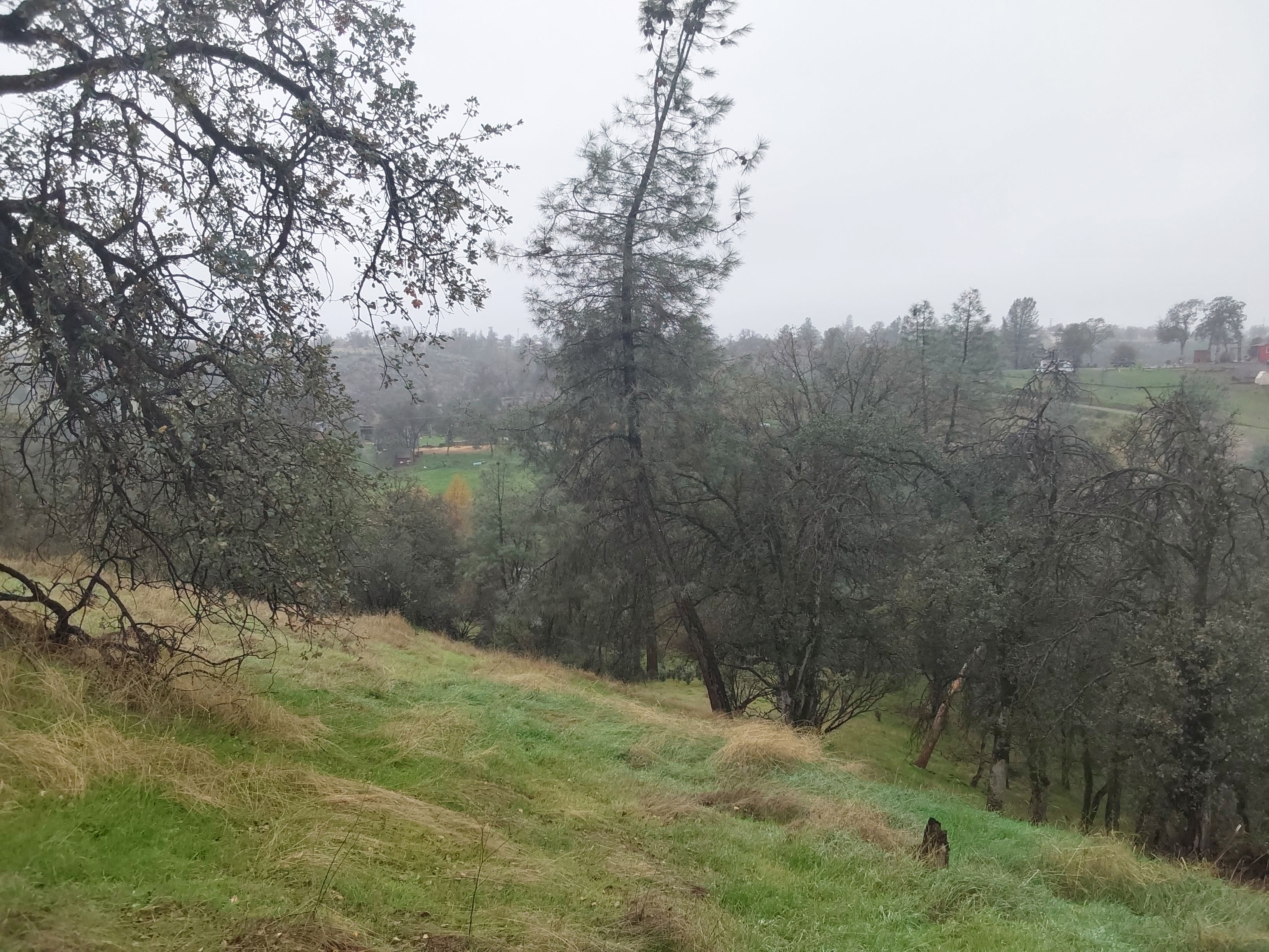 Secluded Pond Campsite