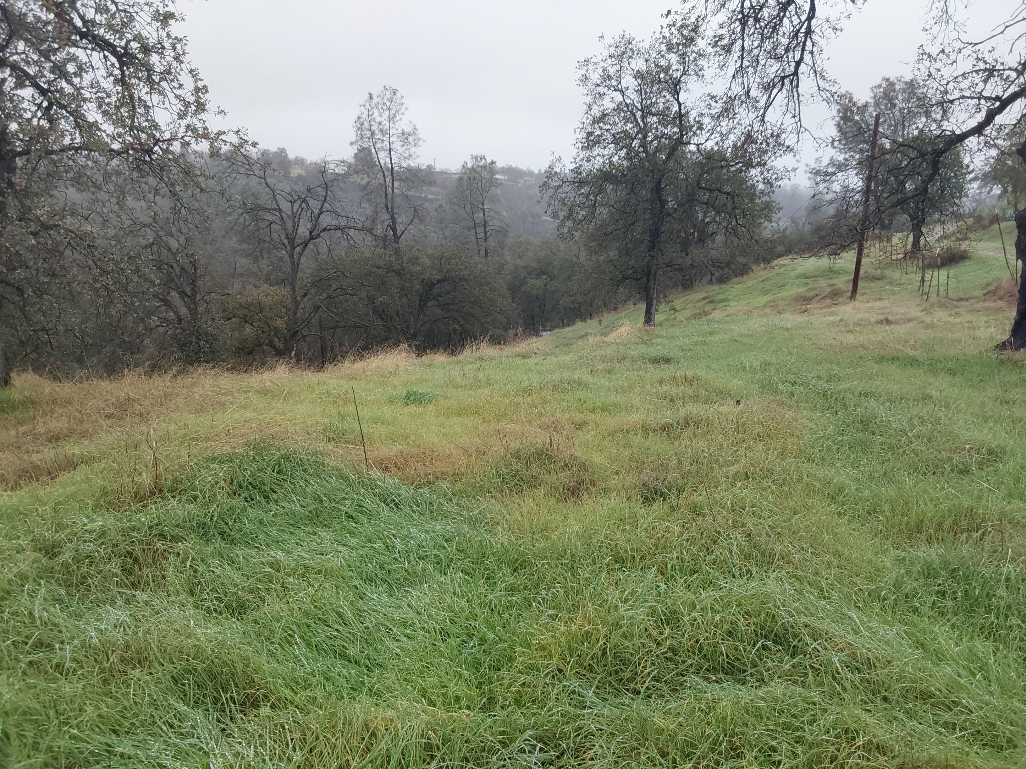 Secluded Pond Campsite
