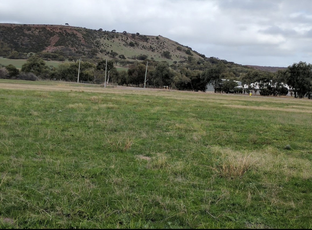 Coffee Pot Hobby Farm