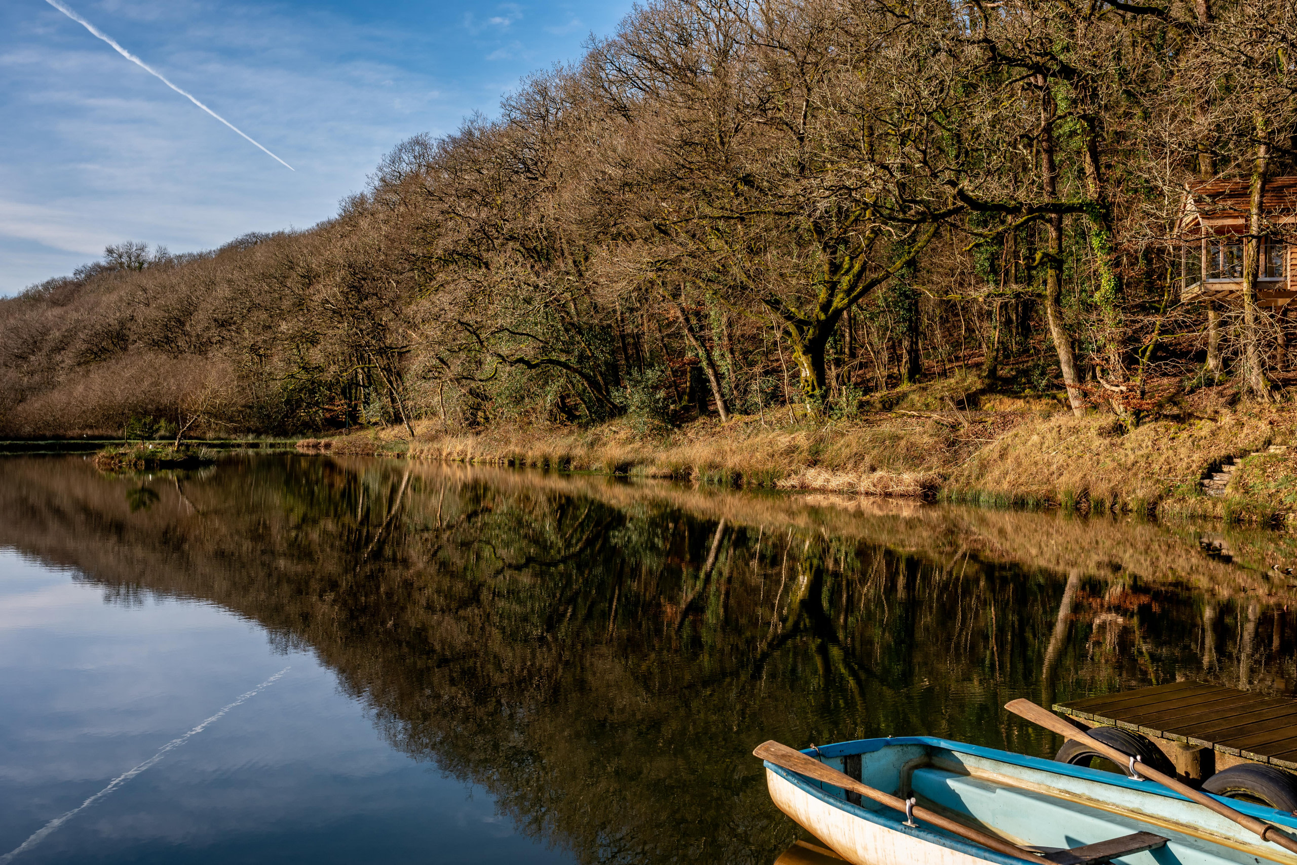 Yeworthy Eco Treehouse