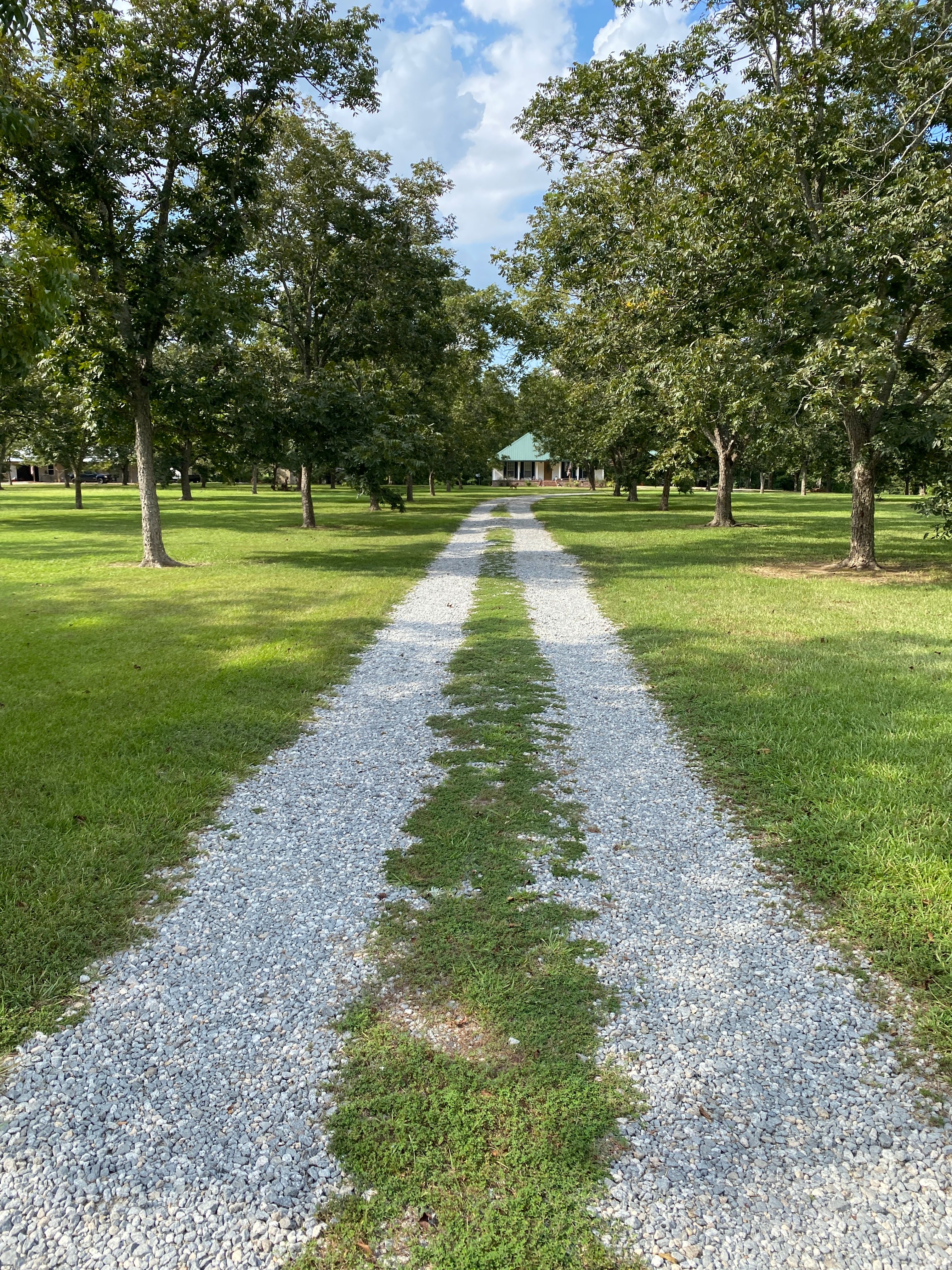 Fairbanks Pecan Grove 🔭